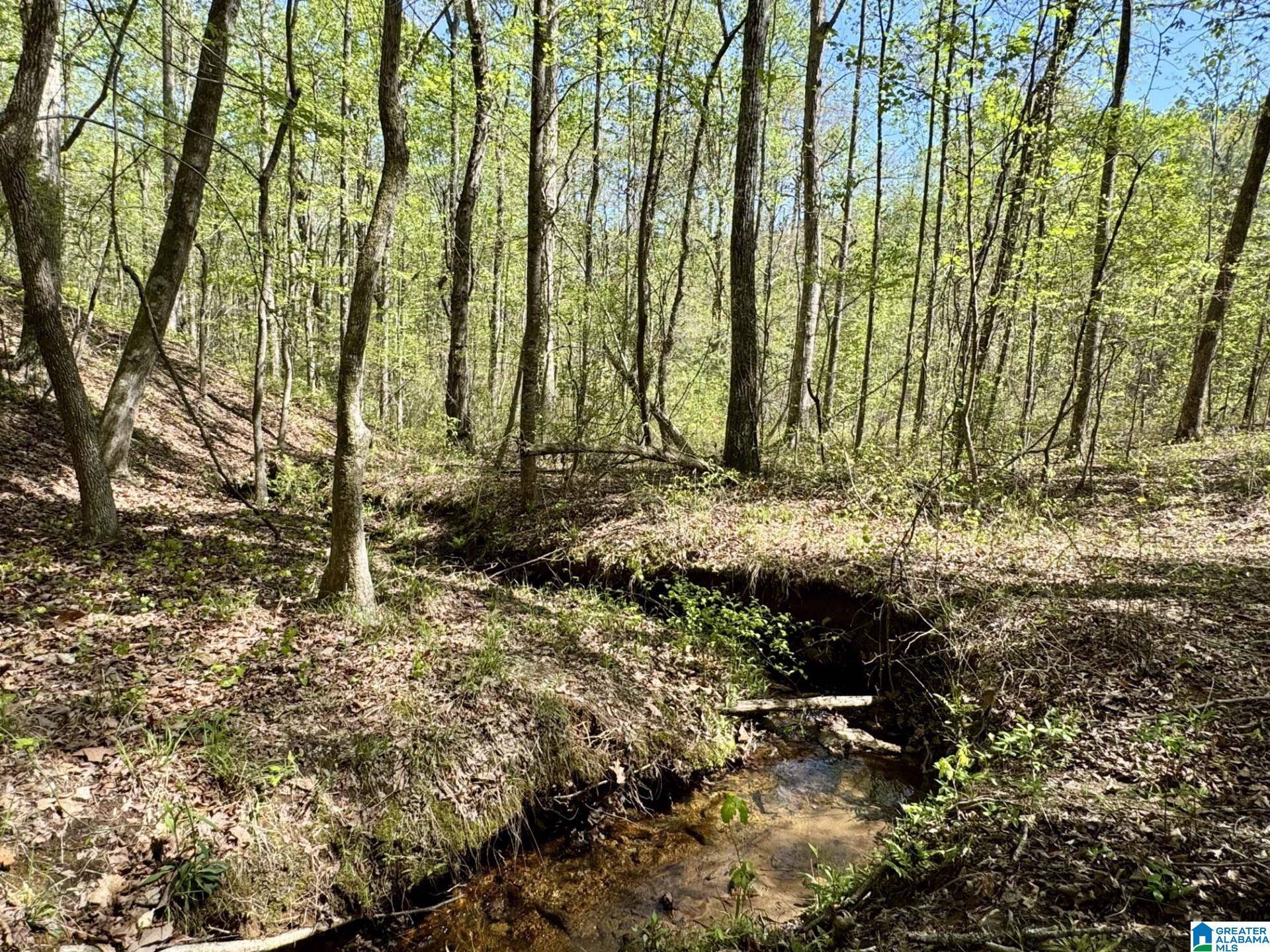 Roanoke, AL 36274,Tract 8 COUNTY ROAD 268 #8