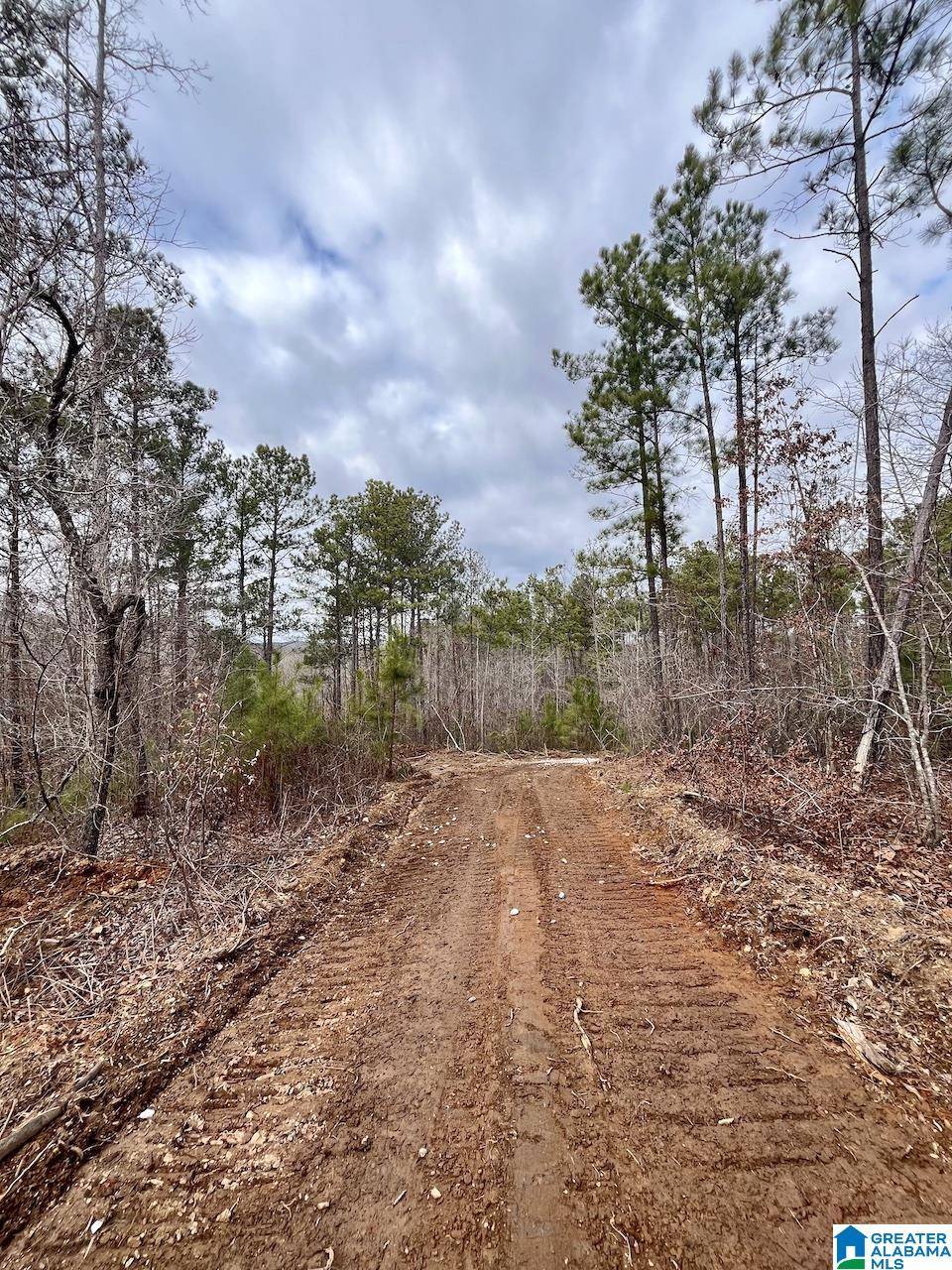 Wedowee, AL 36278,0 COUNTY ROAD 33 #1