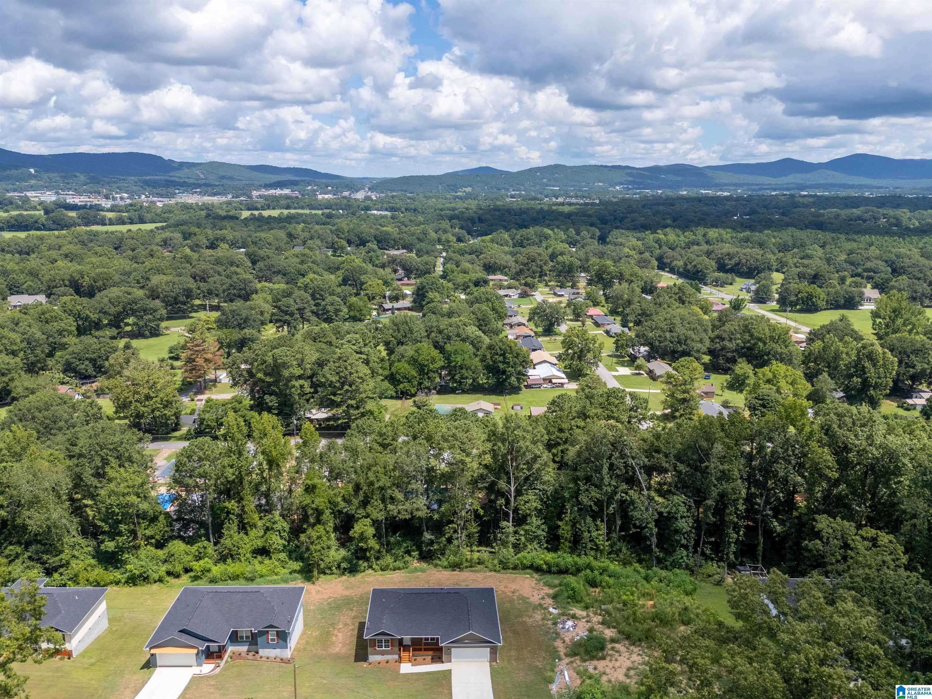 Oxford, AL 36203,715 KINGVIEW DRIVE