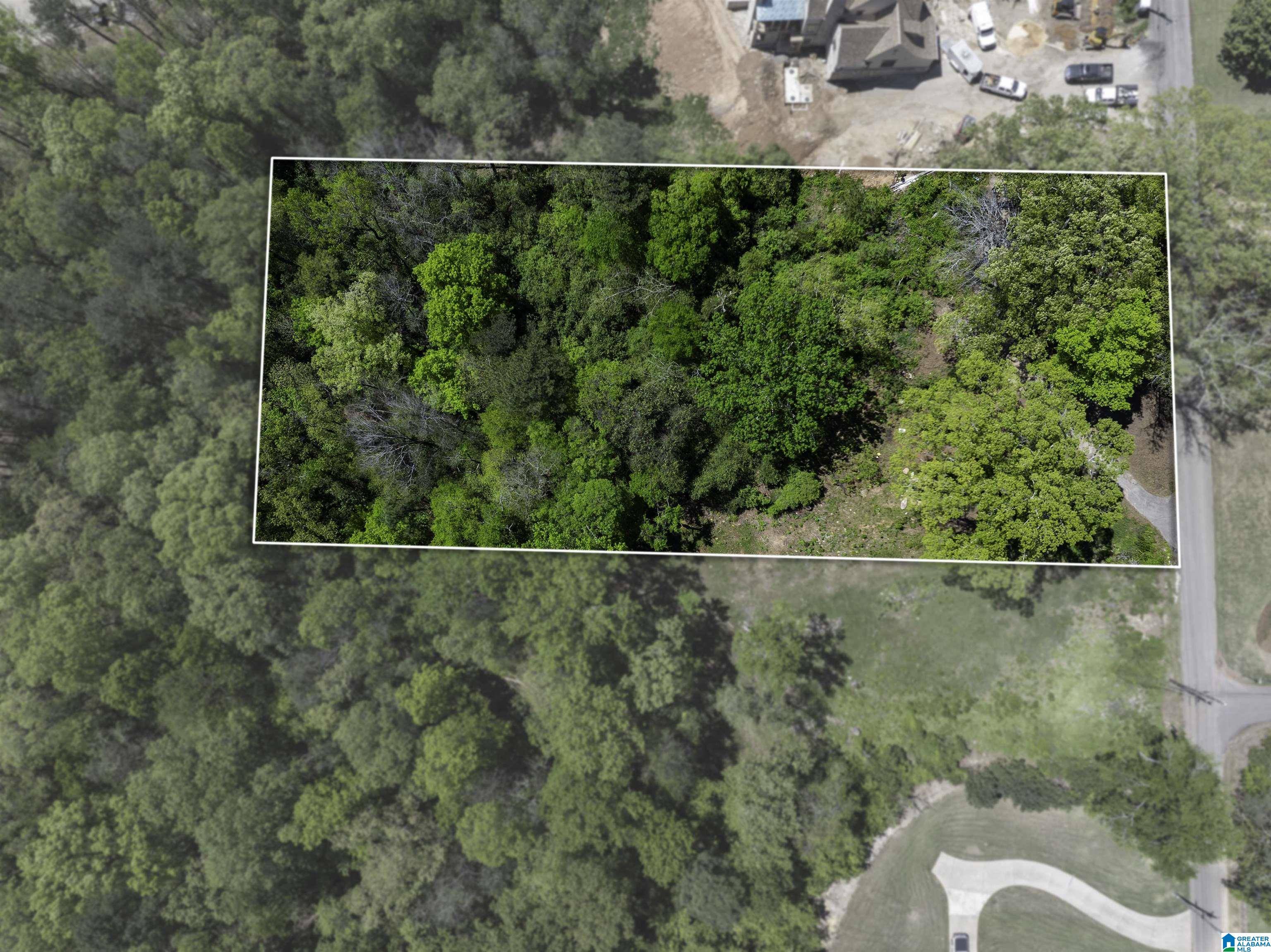 Vestavia Hills, AL 35243,2645 ALTA GLEN DRIVE #2