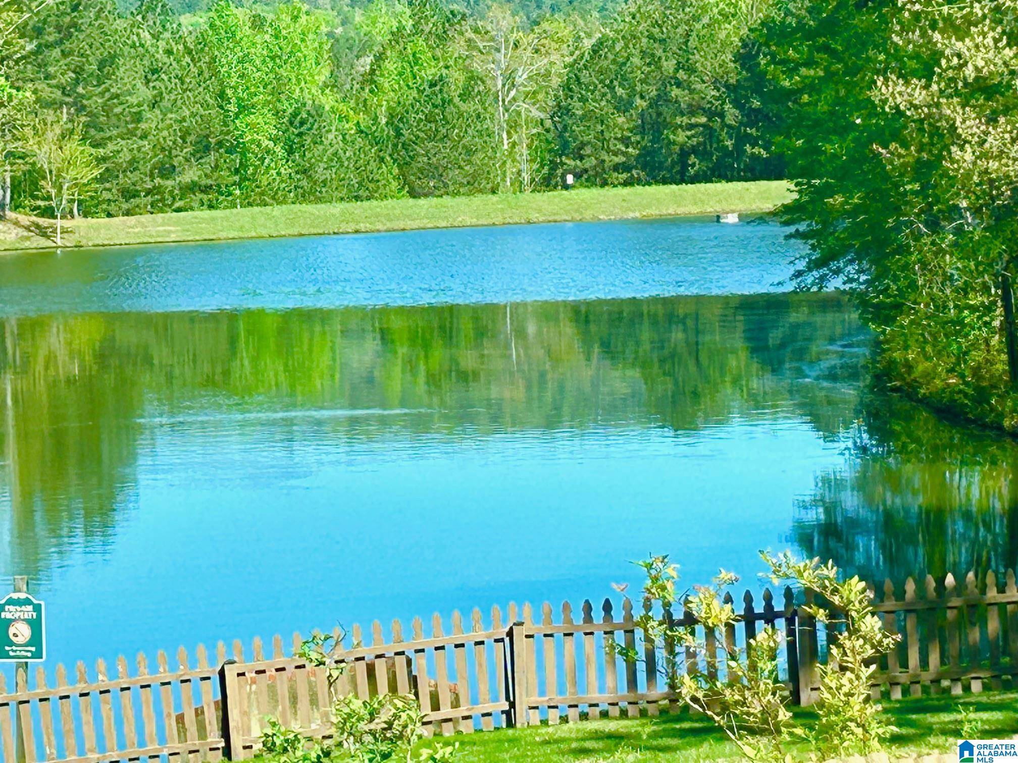 Chelsea, AL 35043,109 OAKLYN HILLS DRIVE