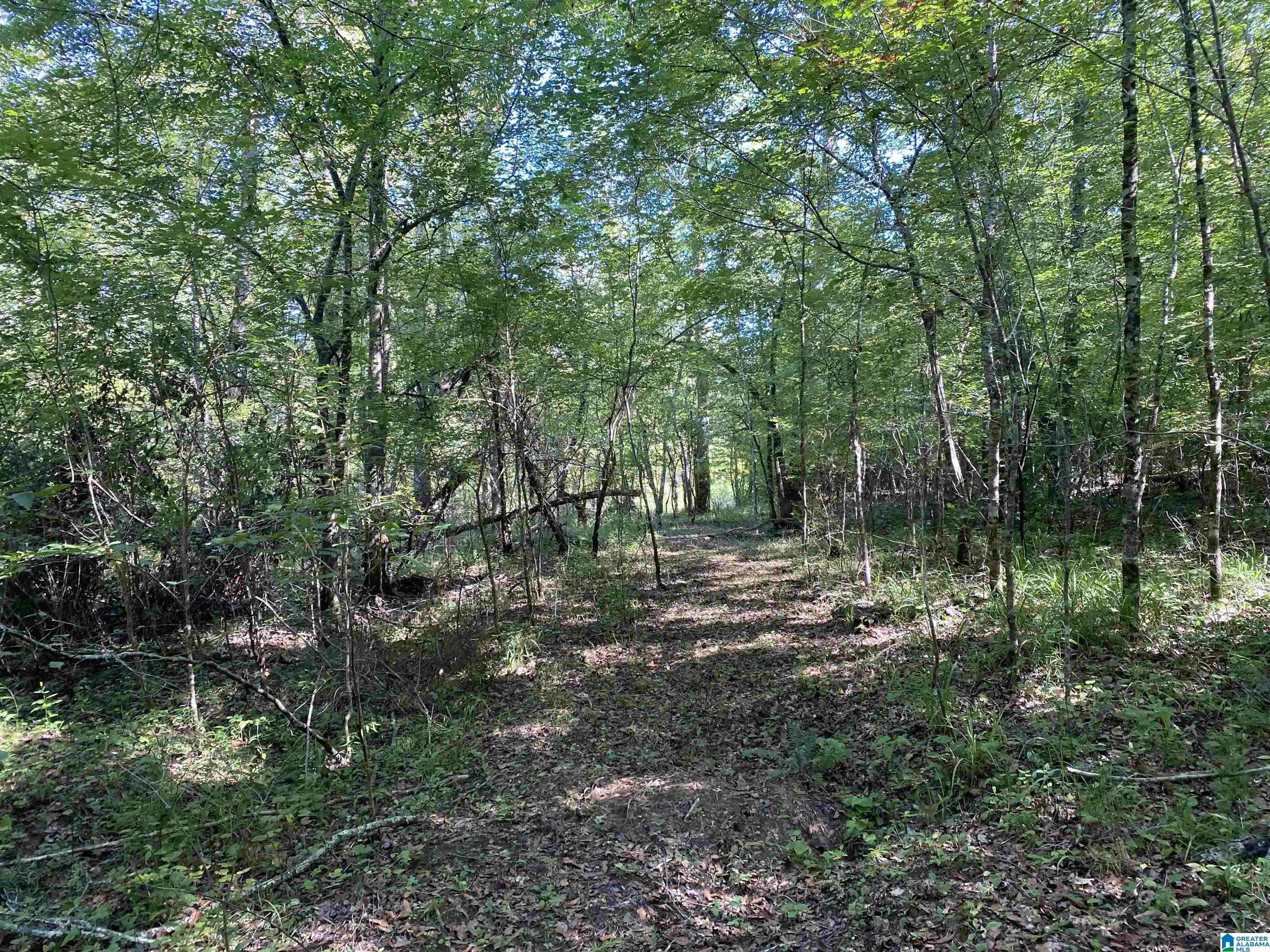 Bessemer, AL 35022,0 WAR EAGLE DRIVE #1