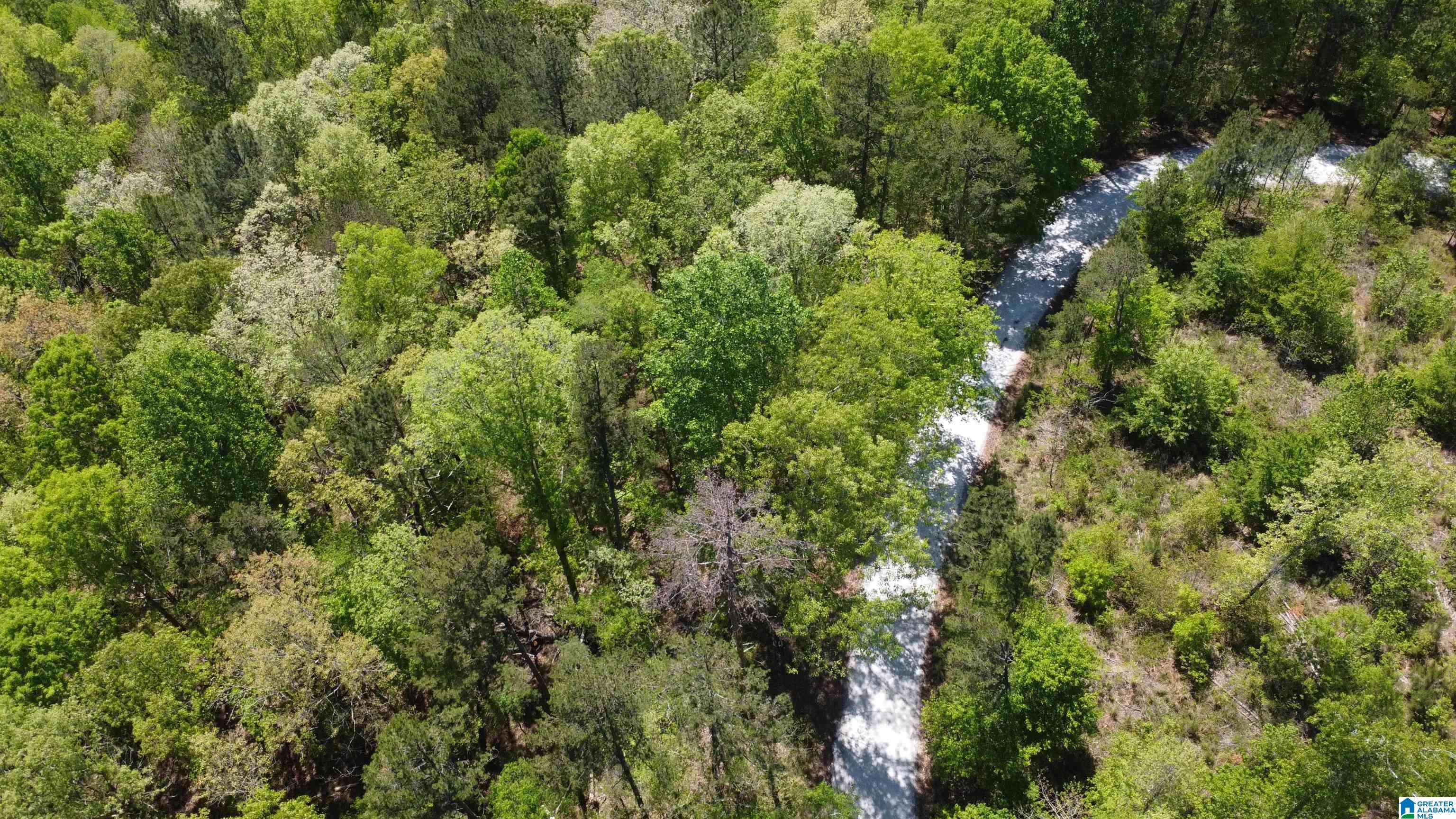 Wedowee, AL 36278,LAKE GENEVA DRIVE #24
