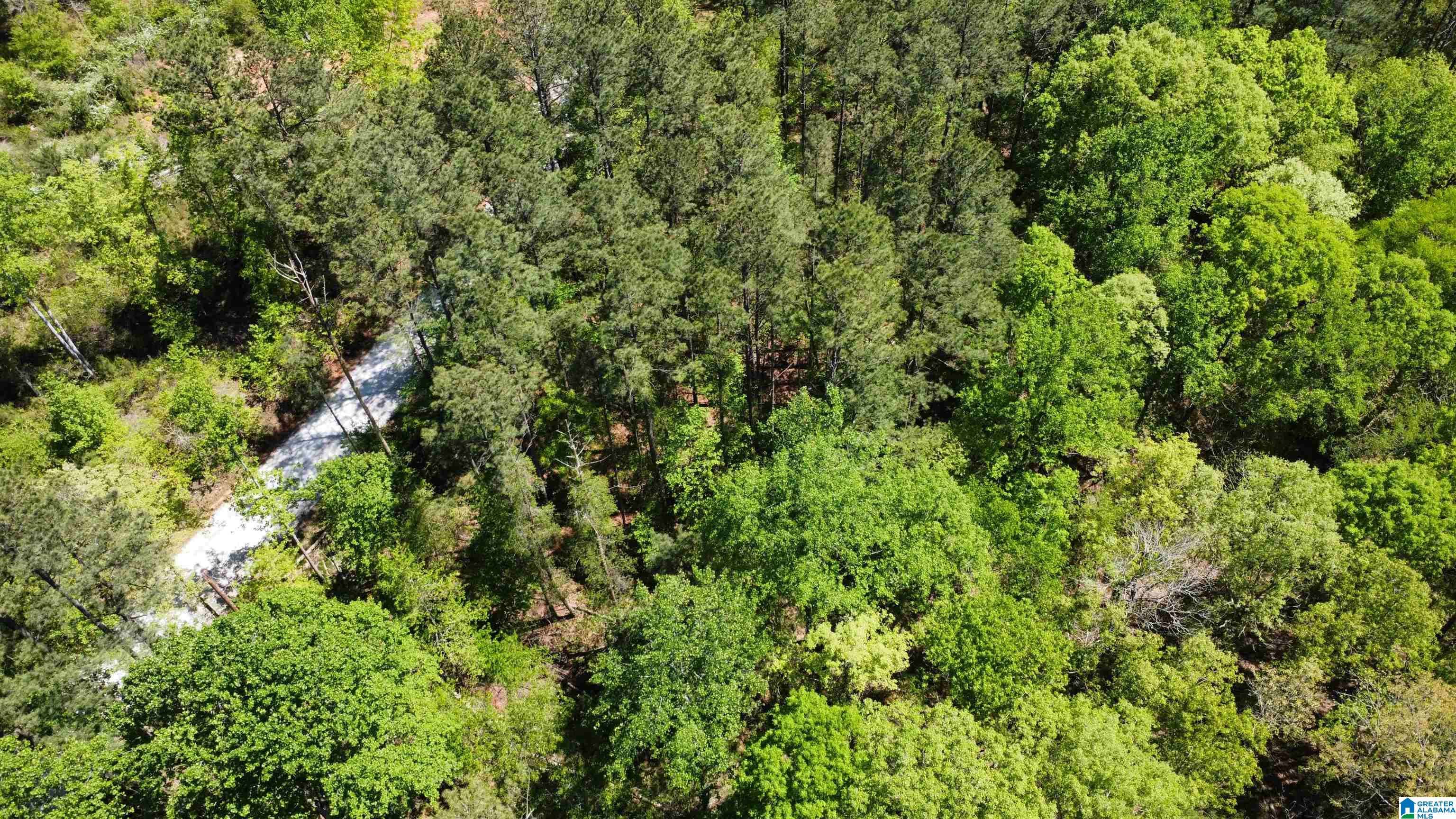 Wedowee, AL 36278,LAKE GENEVA DRIVE #24