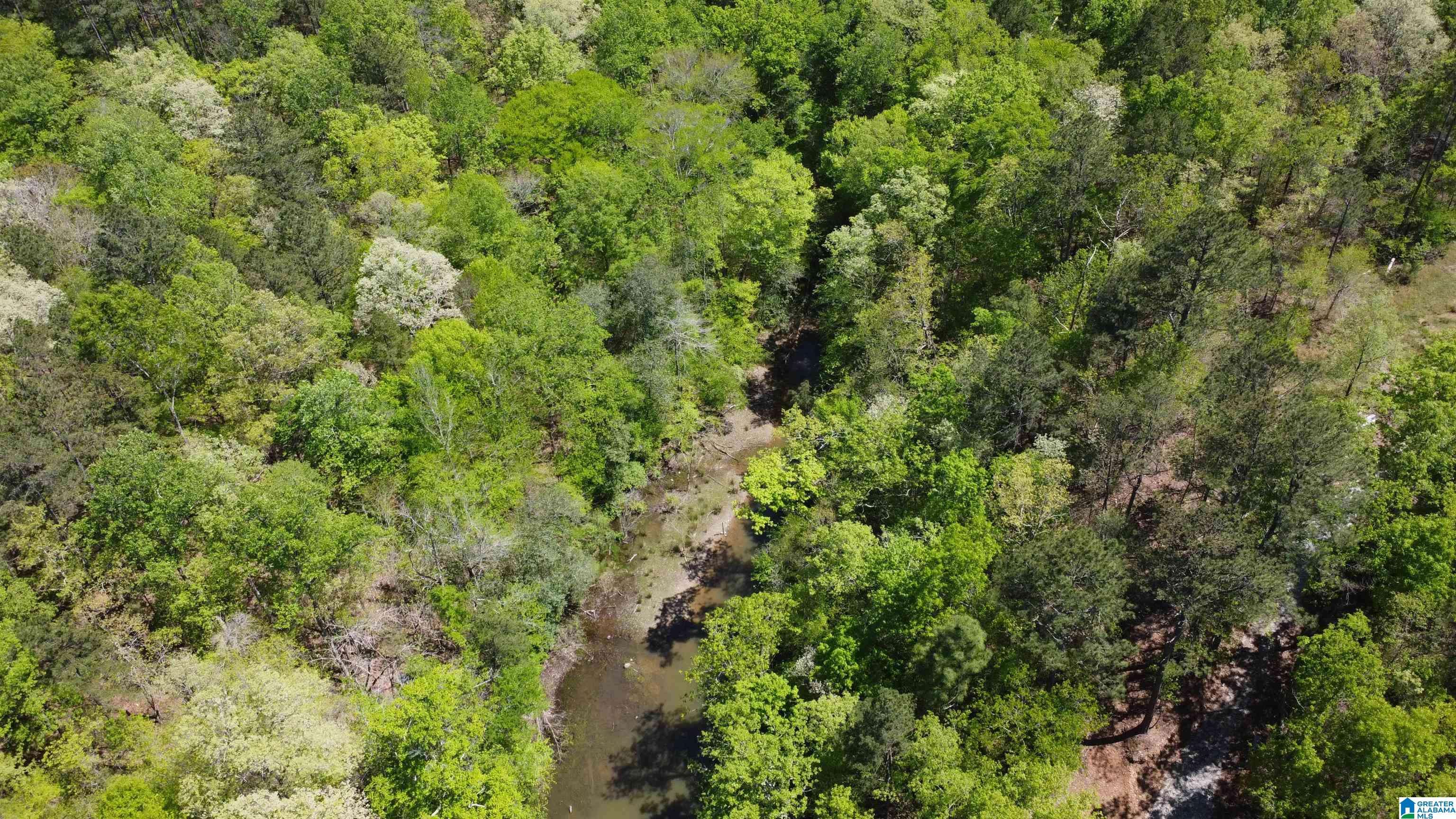 Wedowee, AL 36278,LAKE GENEVA DRIVE #25