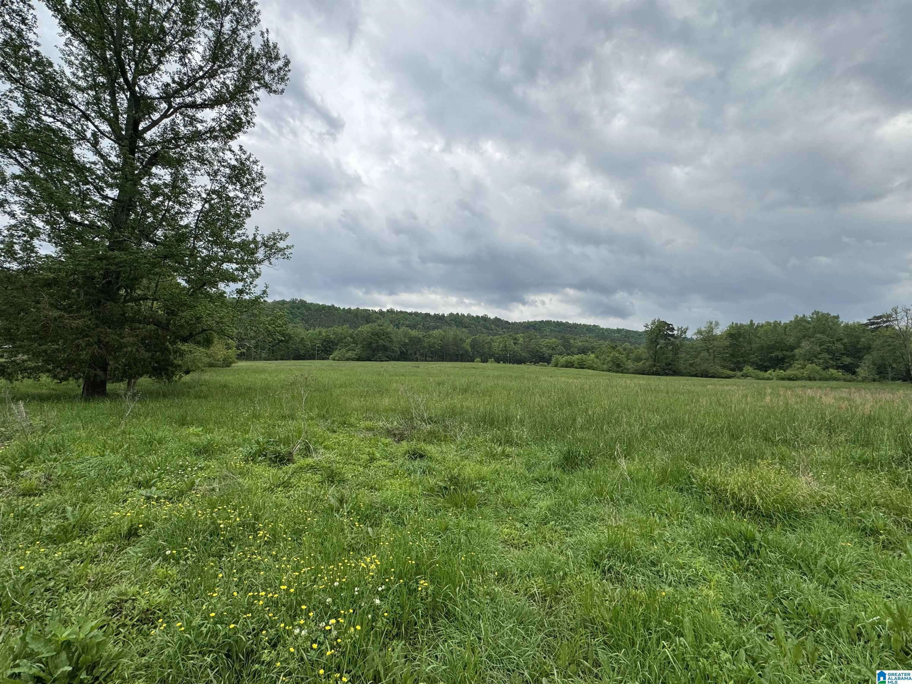 Remlap, AL 35133,1045A SAND VALLEY ROAD