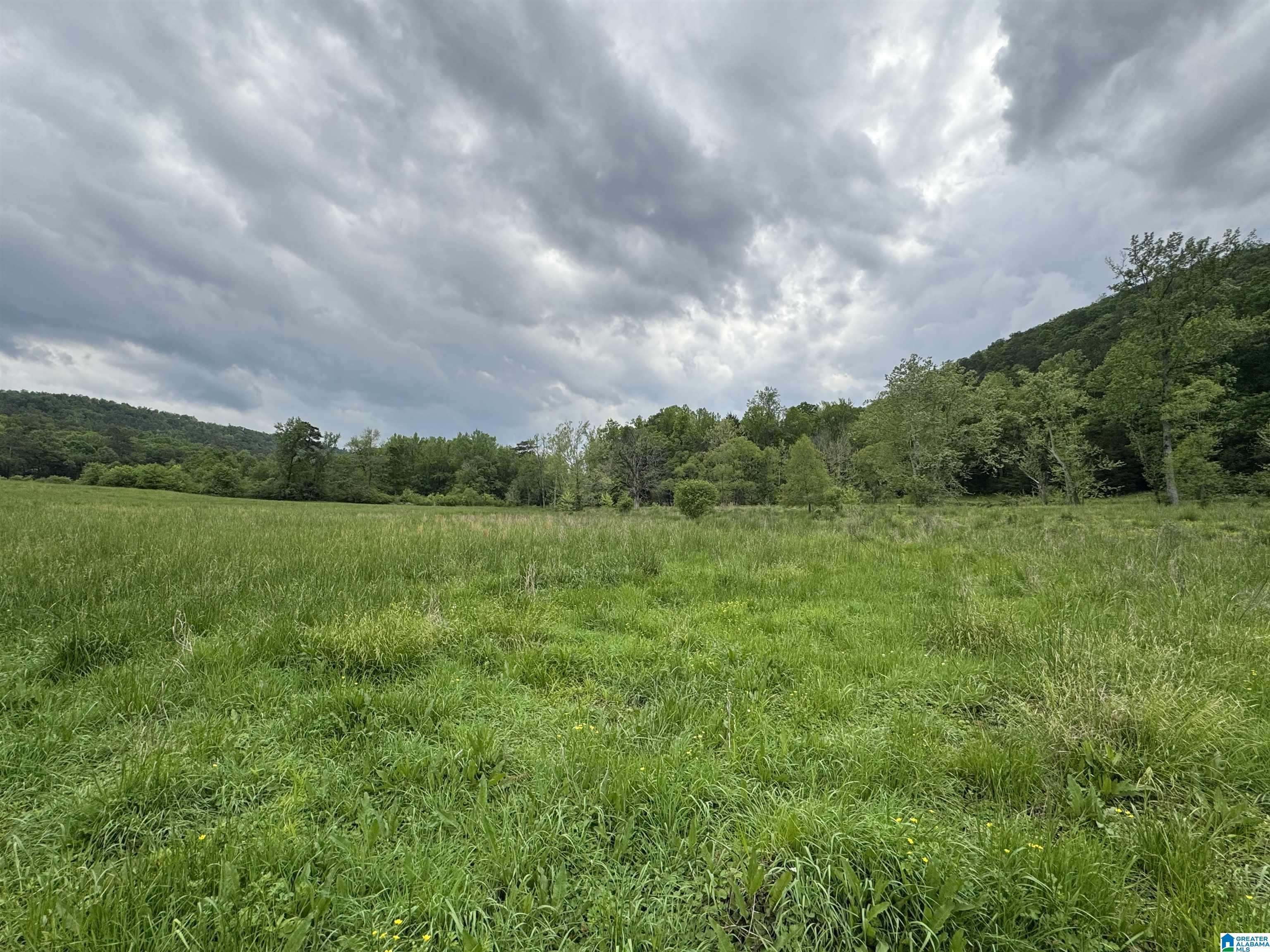 Remlap, AL 35133,1045A SAND VALLEY ROAD