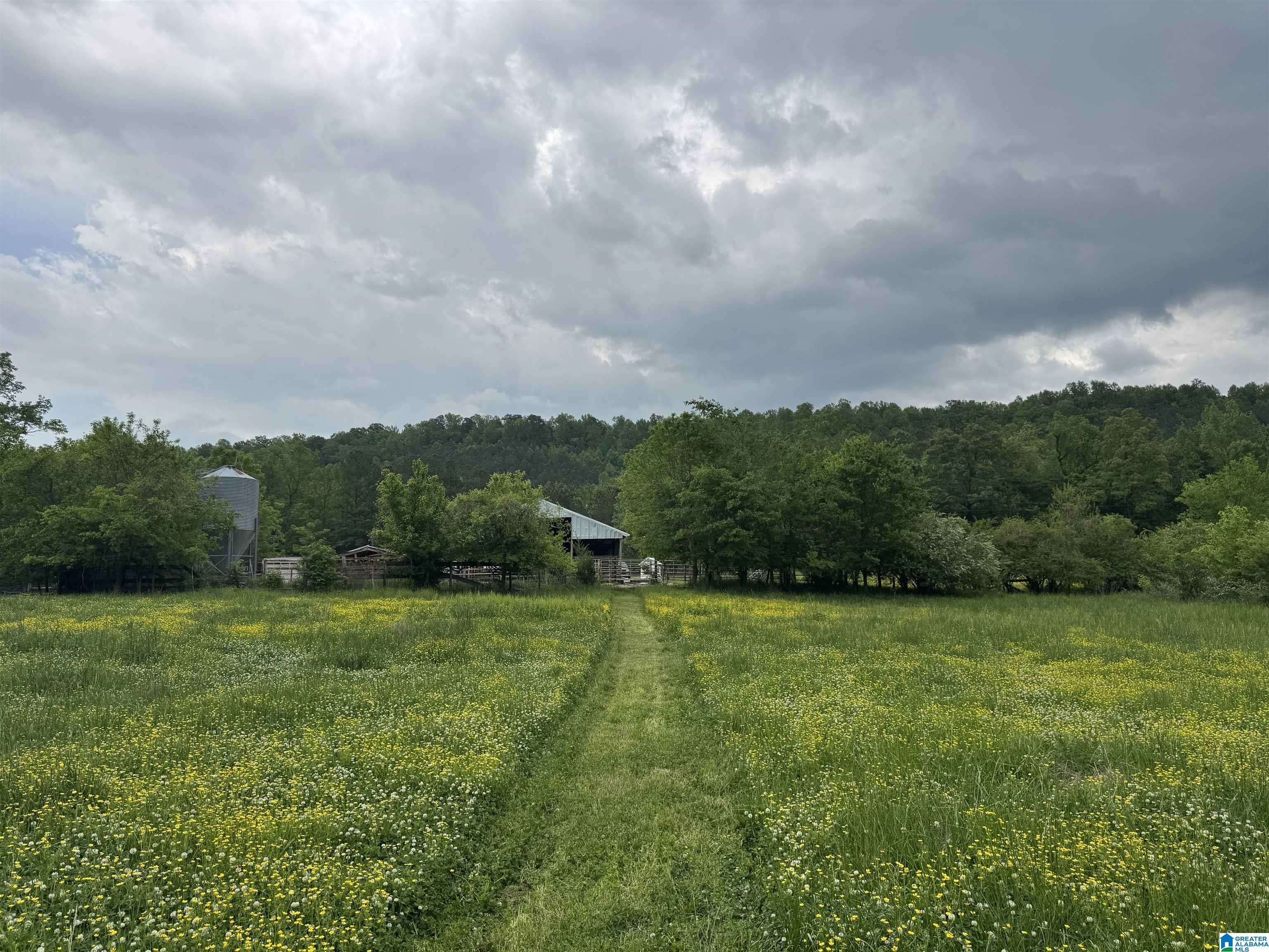 Remlap, AL 35133,1045A SAND VALLEY ROAD