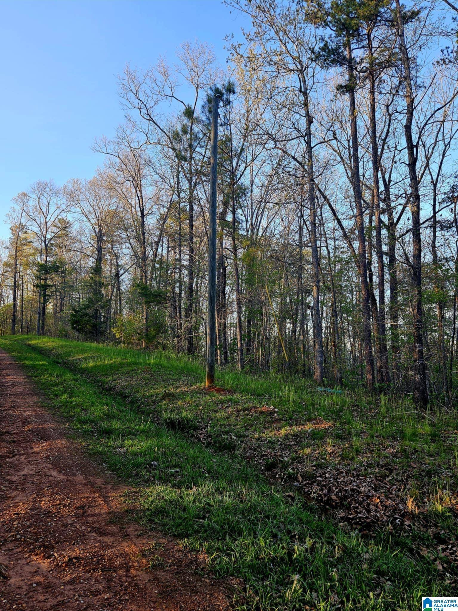 Wedowee, AL 36278,000 POINTE SOUTH DRIVE #69,70,71,72,73