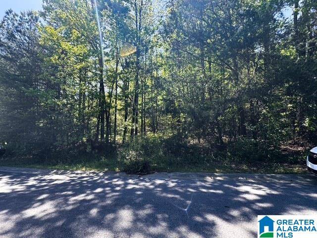 Mccalla, AL 35111,6525 SHADOW ROCK CIRCLE #10