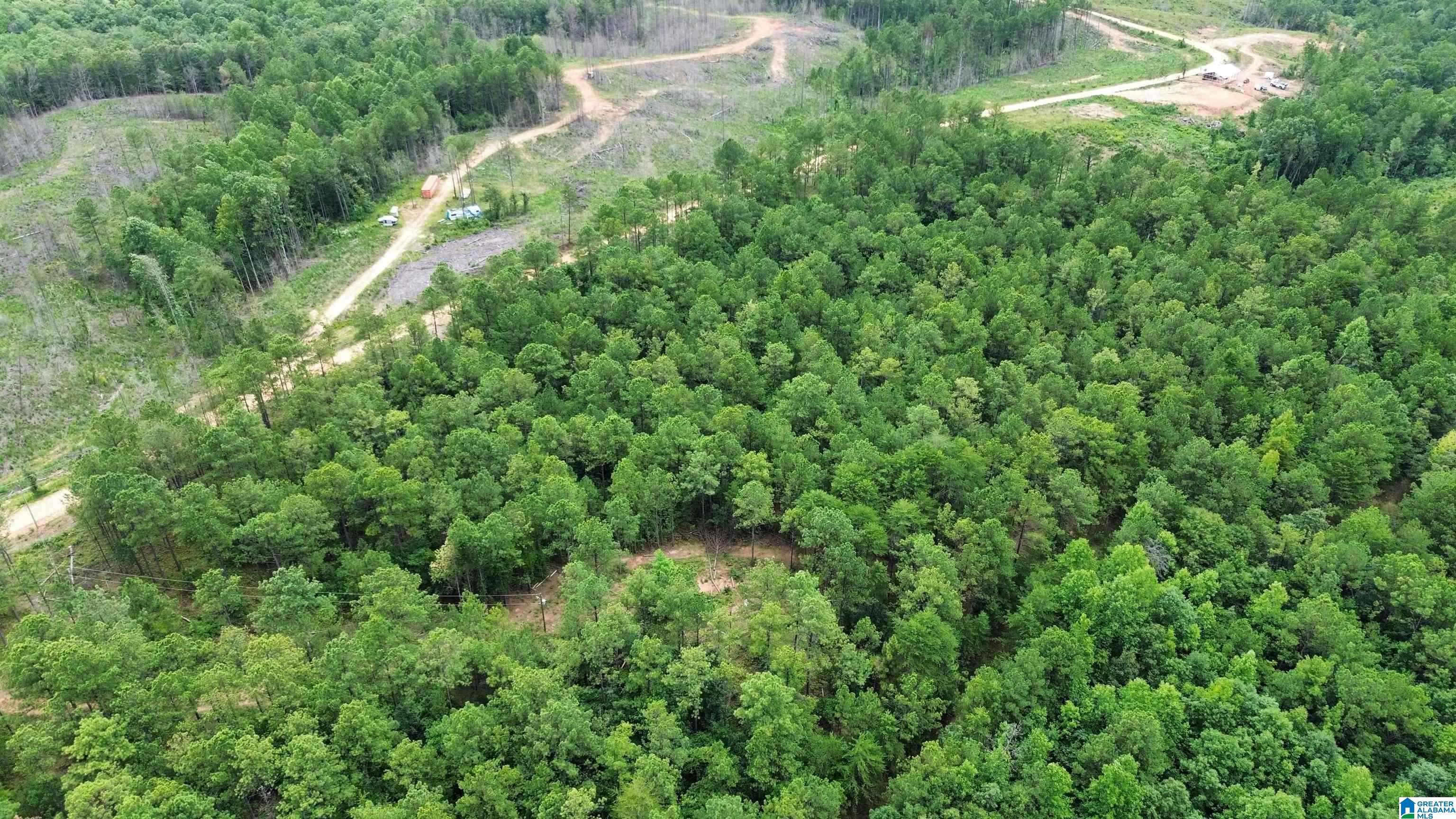 Clanton, AL 35046,204 COUNTY ROAD 485 #0