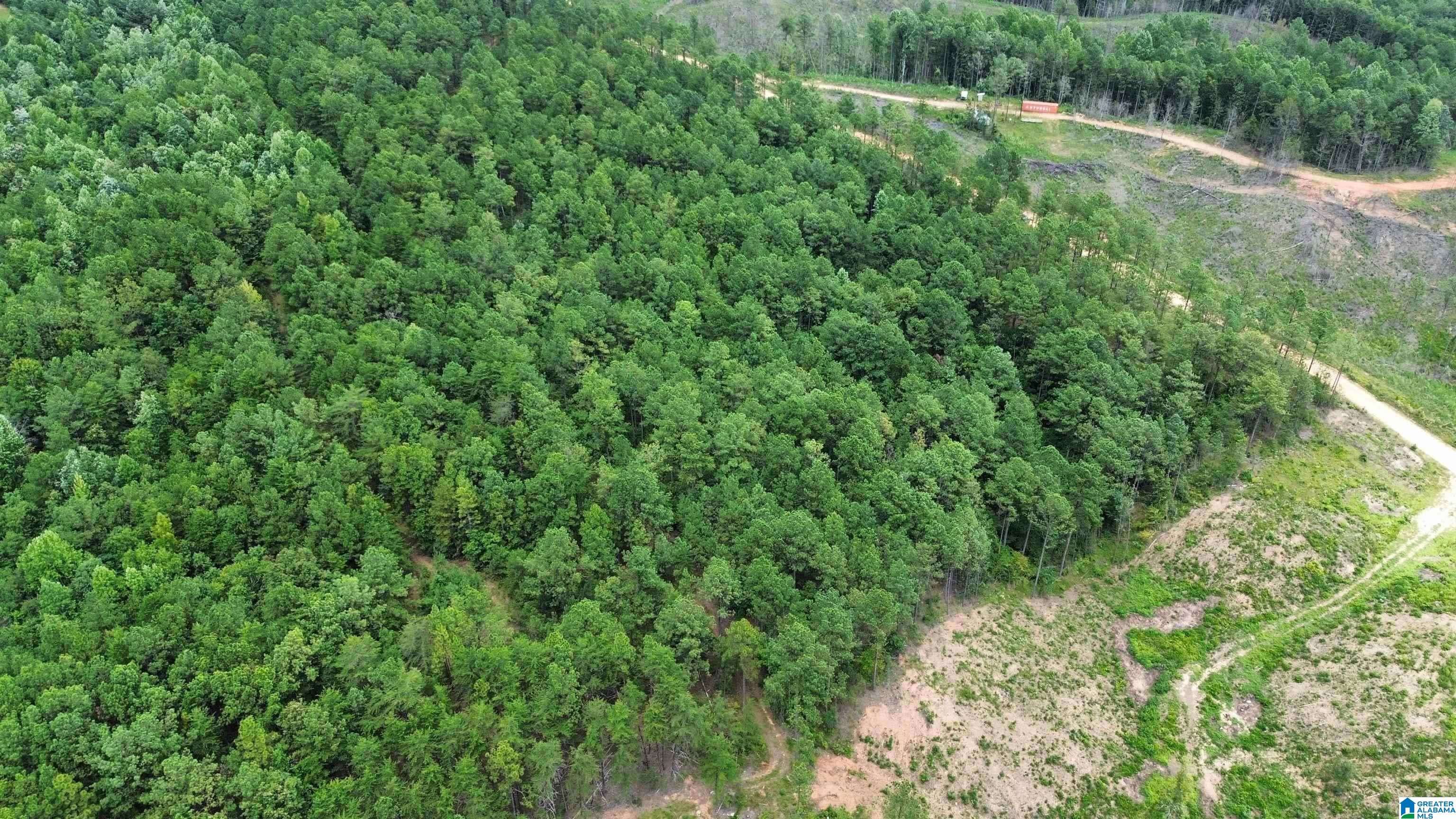 Clanton, AL 35046,204 COUNTY ROAD 485 #0
