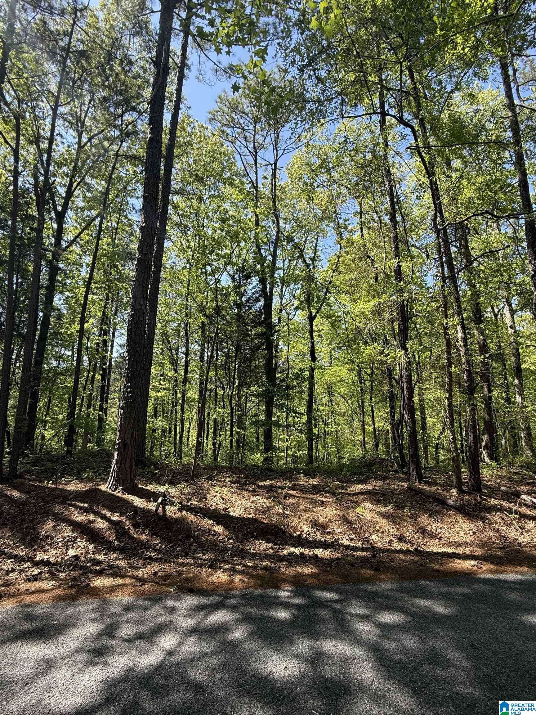 Sylacauga, AL 35151,0 VICKS LANE #0
