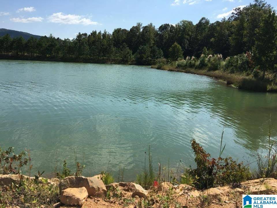 Odenville, AL 35120,230 RIDGEWOOD LANE