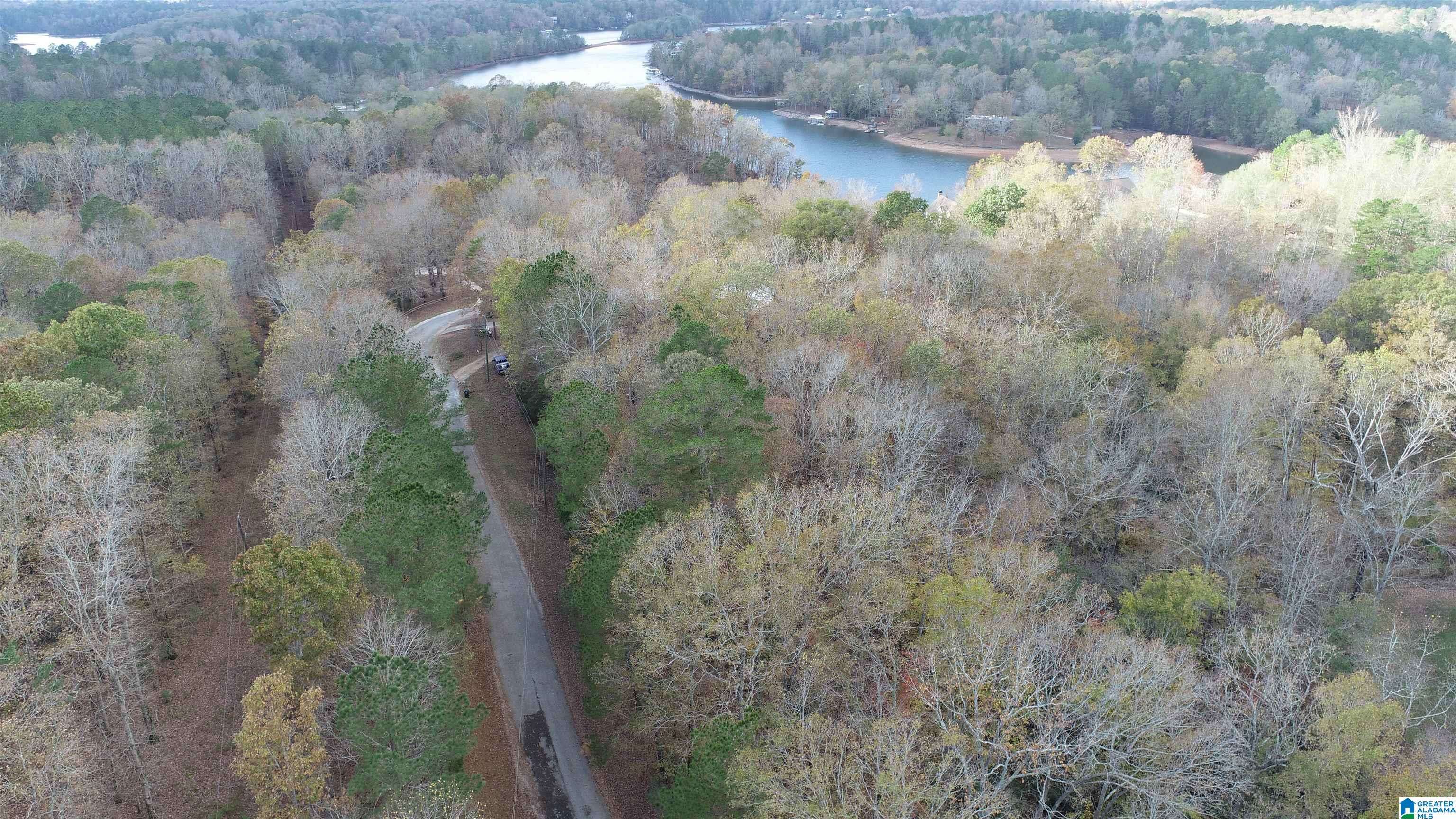 Wedowee, AL 36278,0 BLUFFS CIRCLE #25