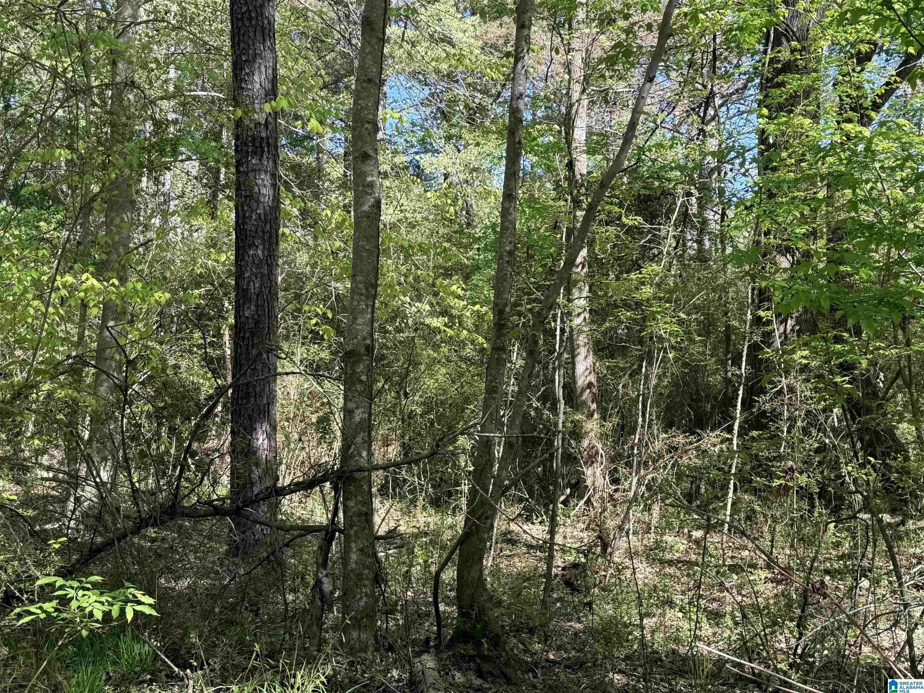 Margaret, AL 35112,0 RAILROAD LANE #1