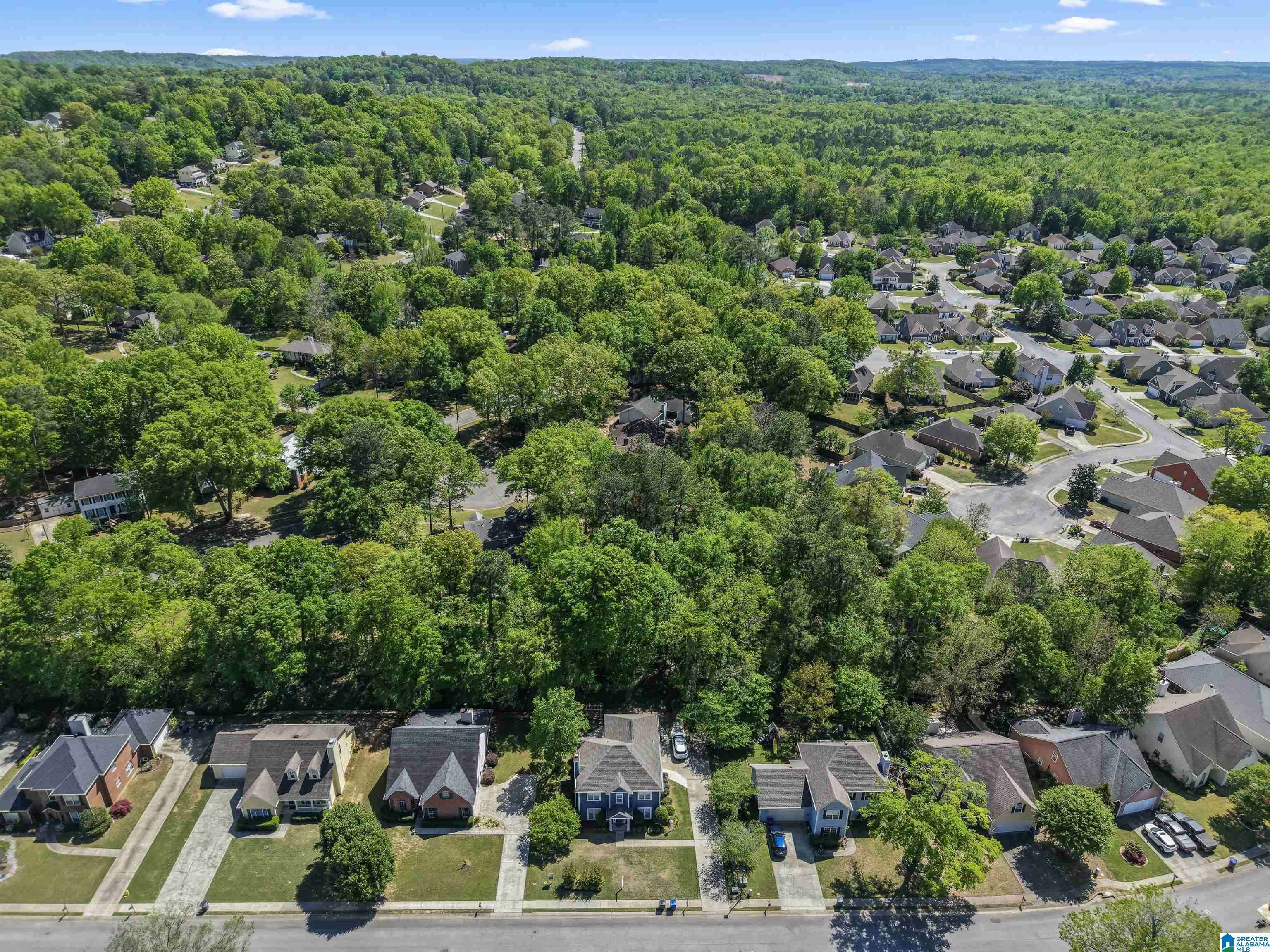 Helena, AL 35080,1117 AMBERLEY WOODS DRIVE