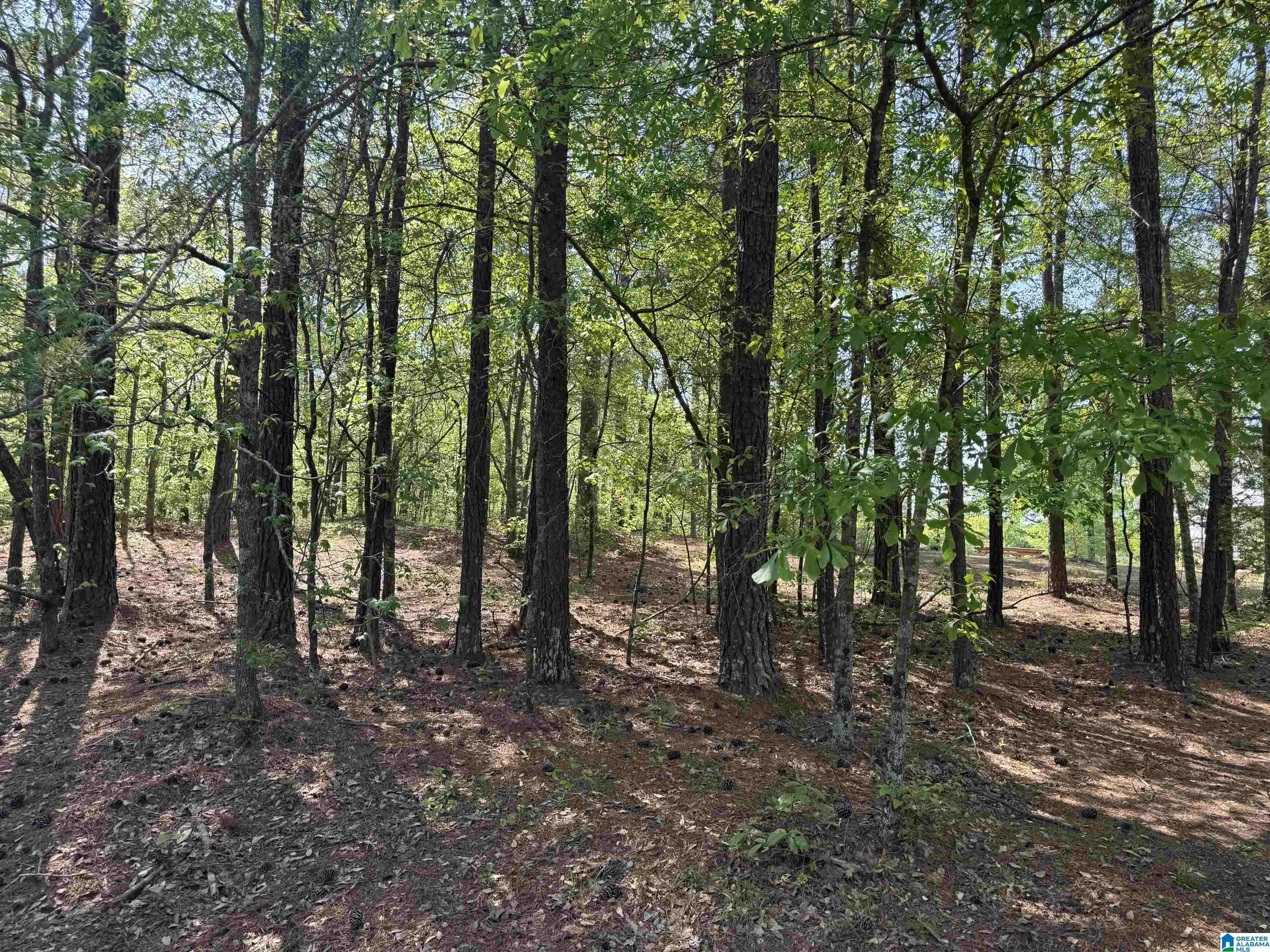 Sterrett, AL 35147,COUNTRY MANOR DRIVE #3.11 acres