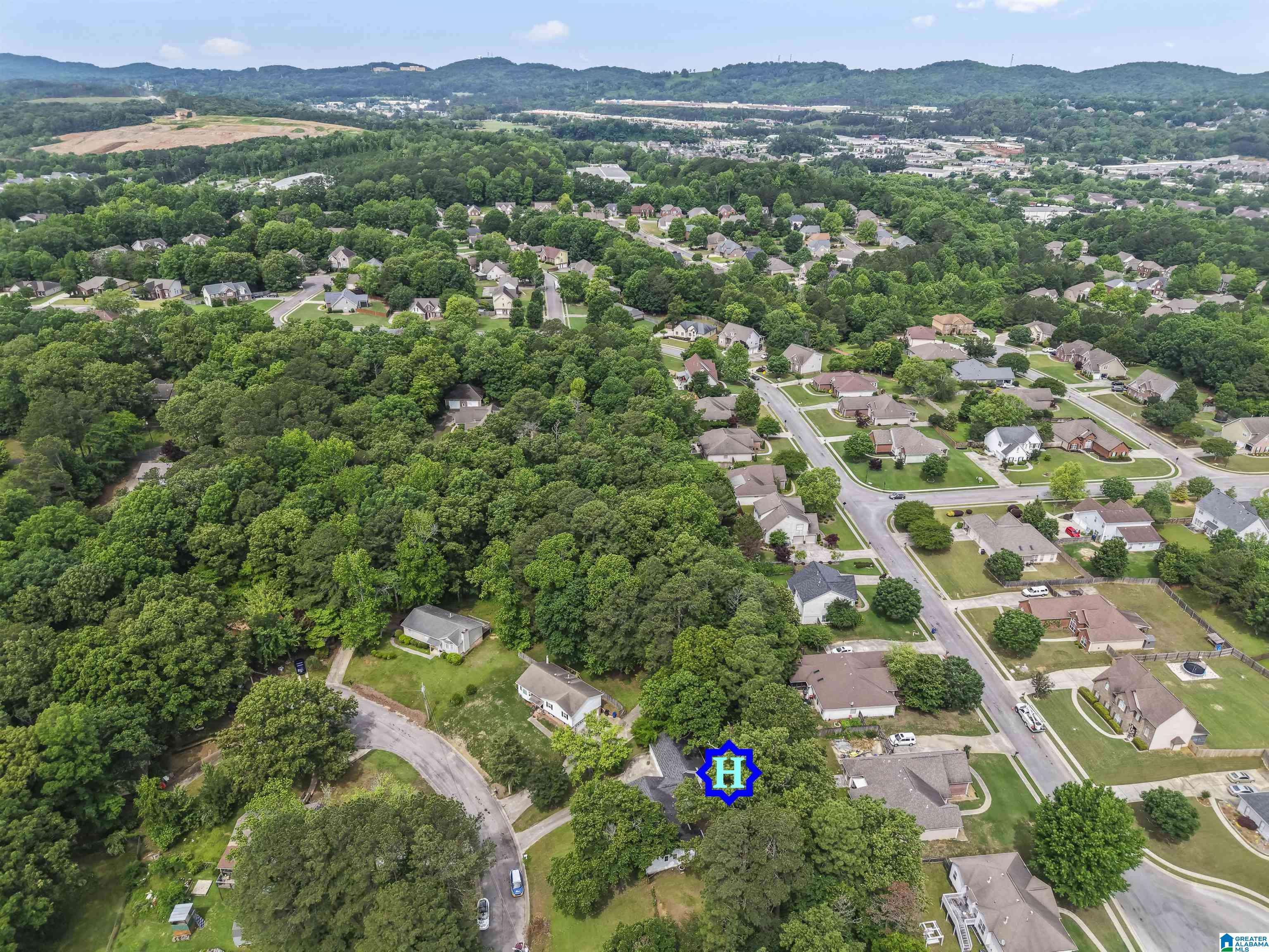 Trussville, AL 35173,209 ANNETTA CR