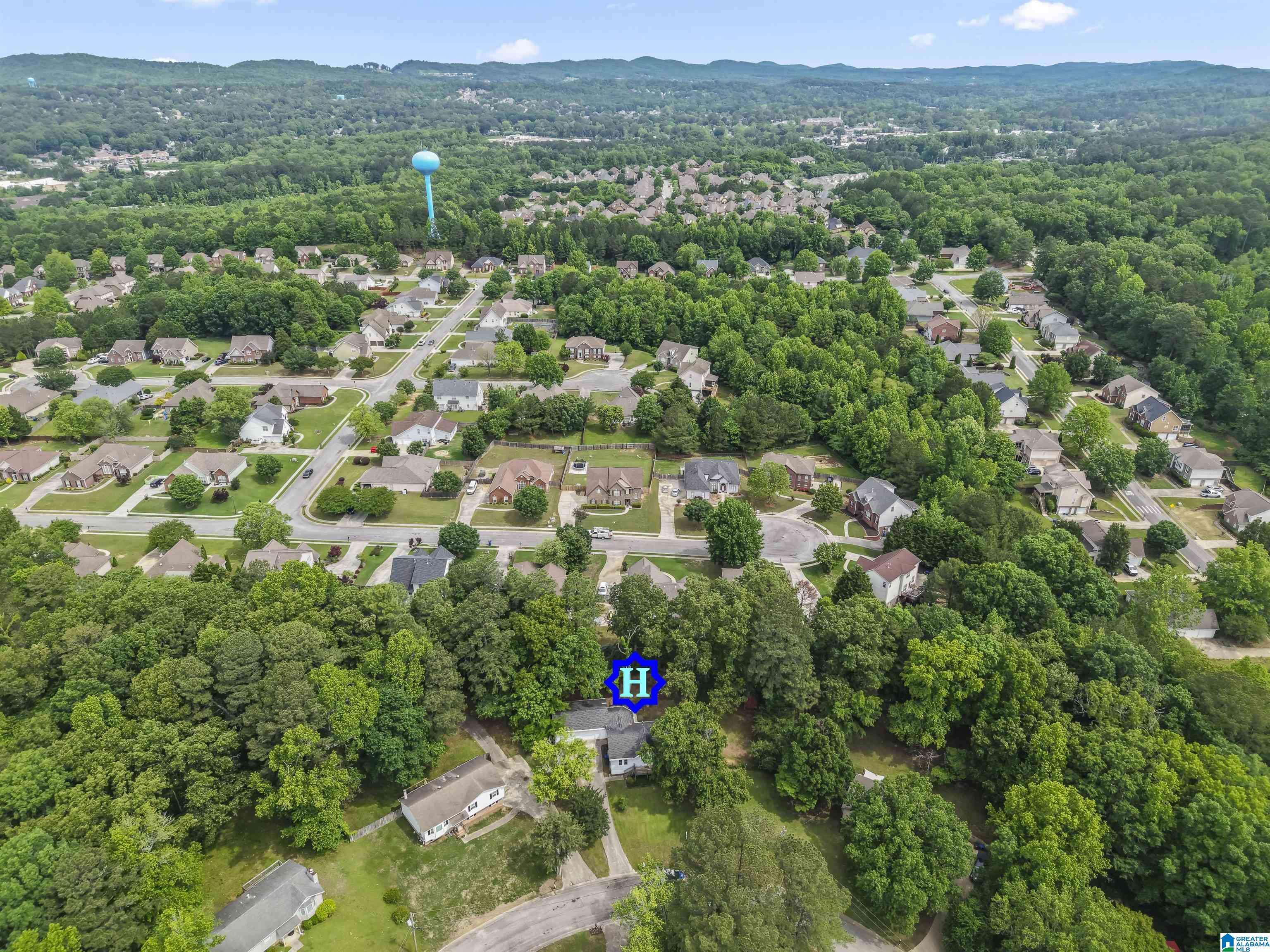 Trussville, AL 35173,209 ANNETTA CR