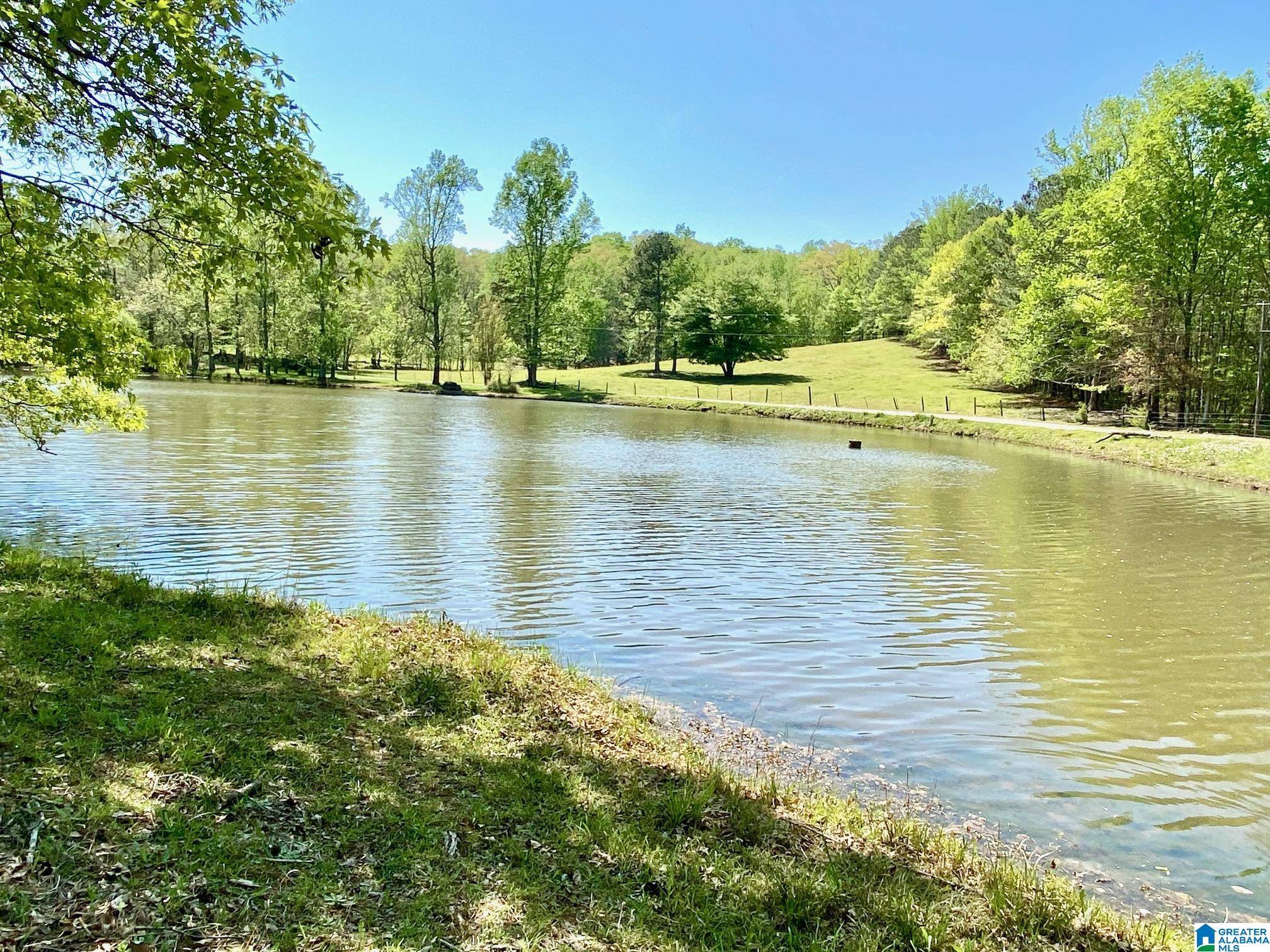 Delta, AL 36258,109 COUNTY ROAD 801