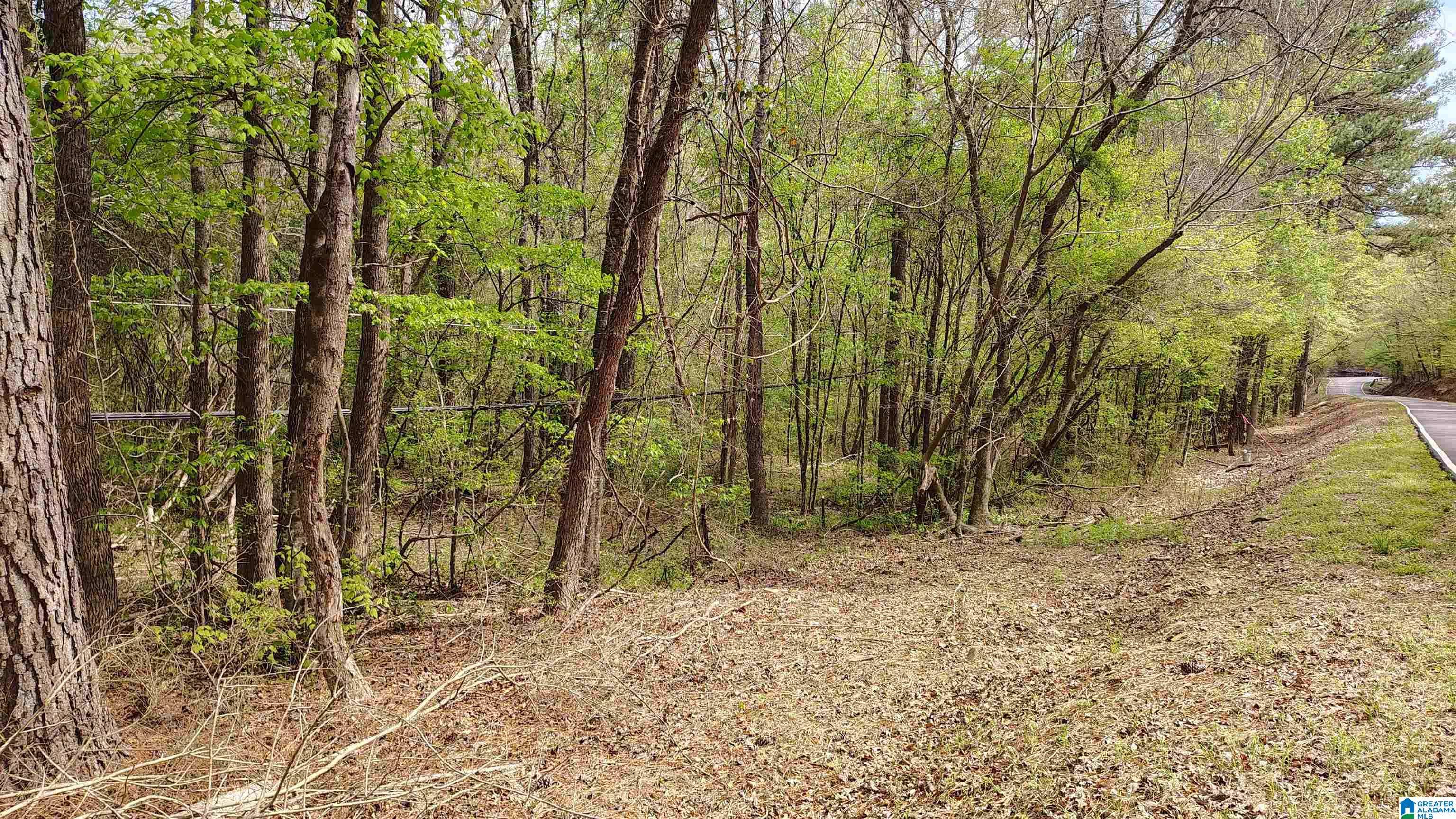 Morris, AL 35116,0 GROUNDHOG ROAD #3