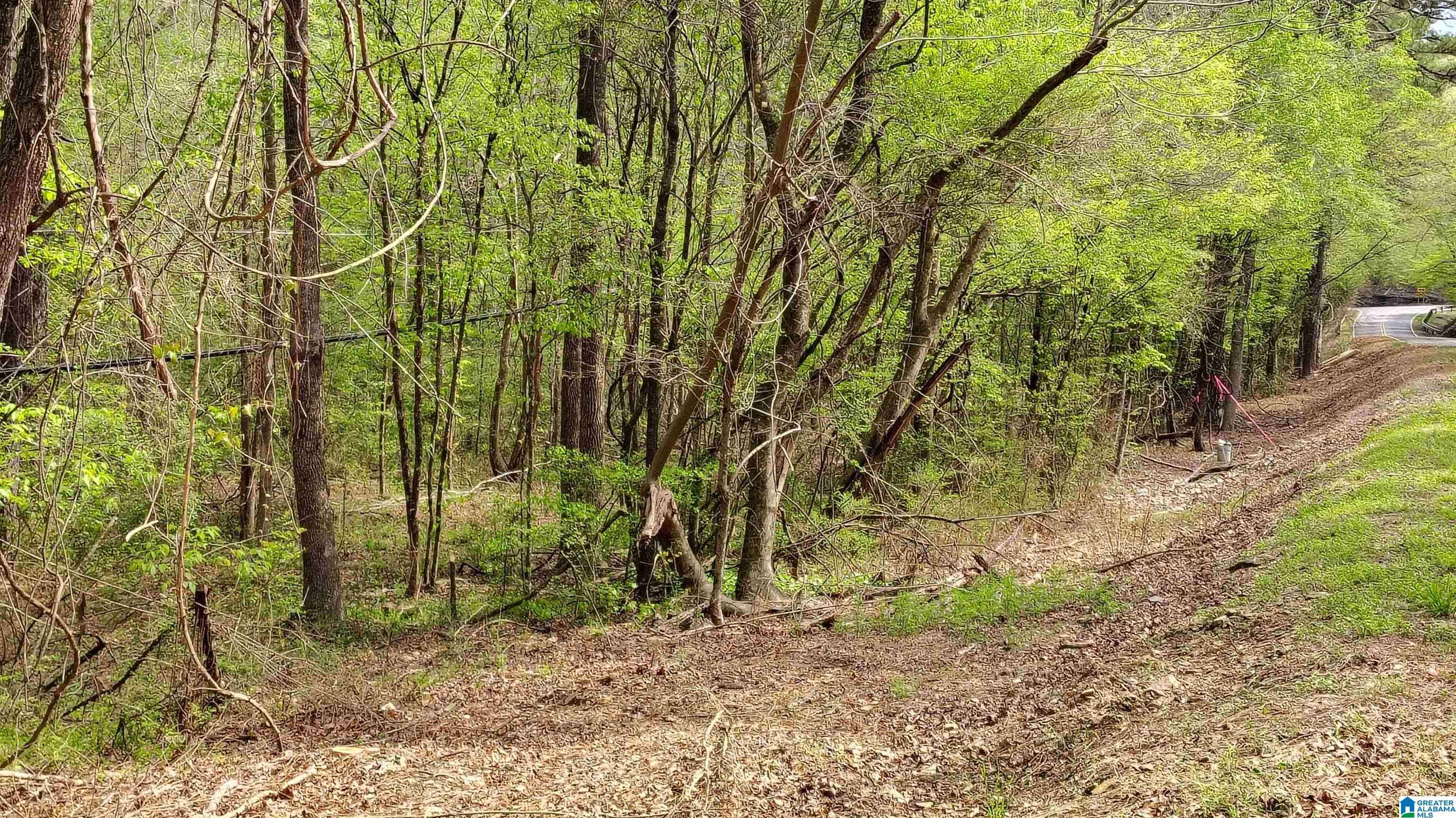 Morris, AL 35116,0 GROUNDHOG ROAD #3