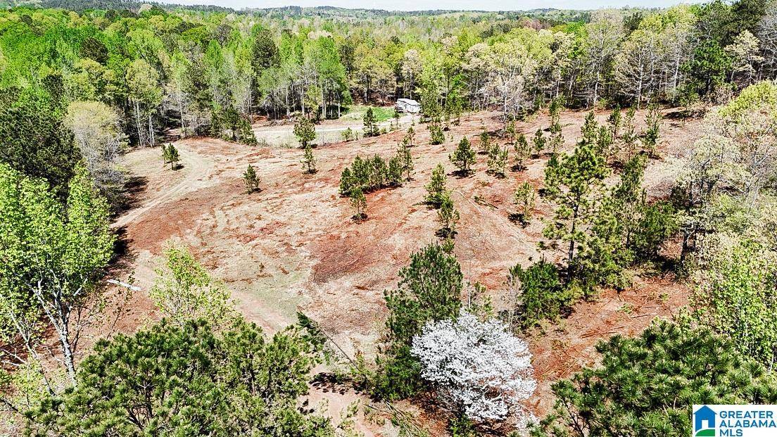 Heflin, AL 36264,585 COUNTY ROAD 204 #Na