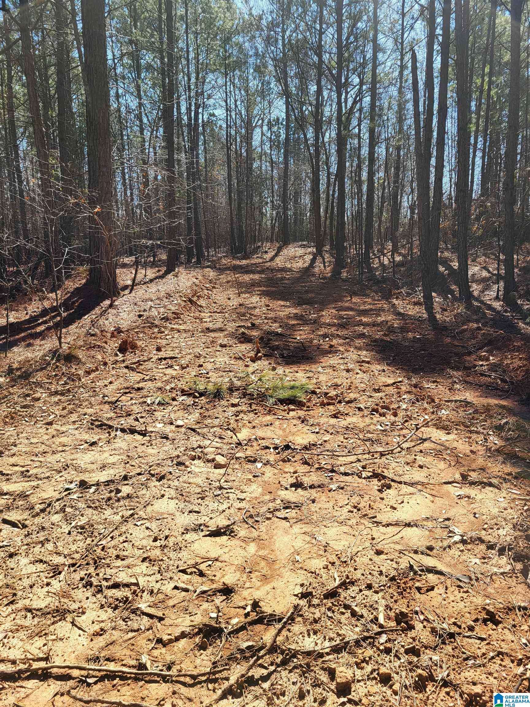 Talladega, AL 35160,0 SERENITY LANE #2