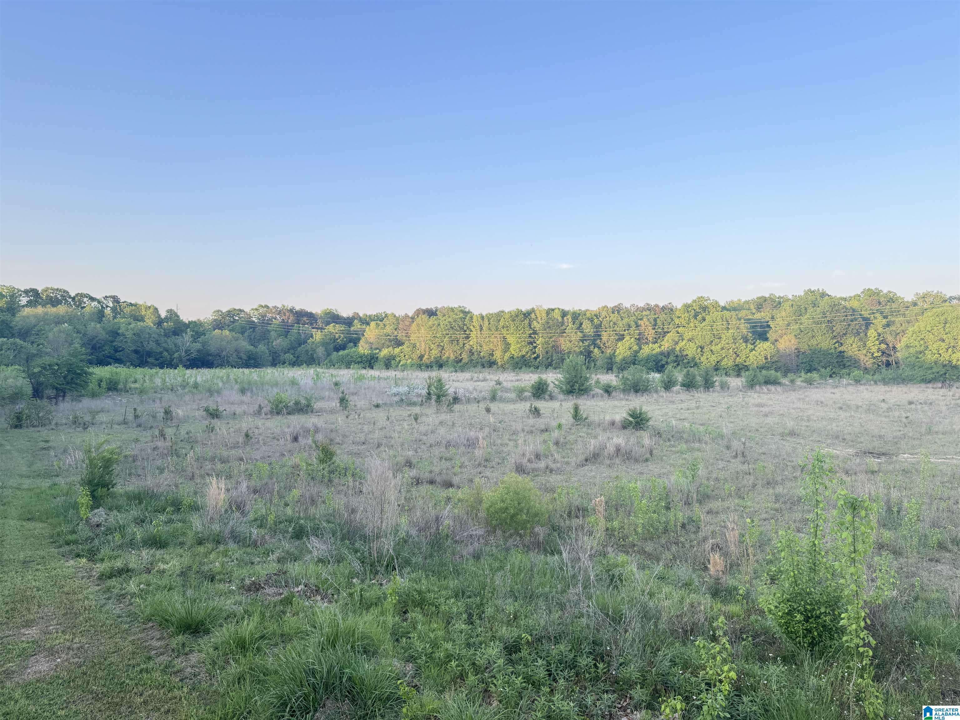 Chelsea, AL 35043,40 PAGE CREEK ROAD #1