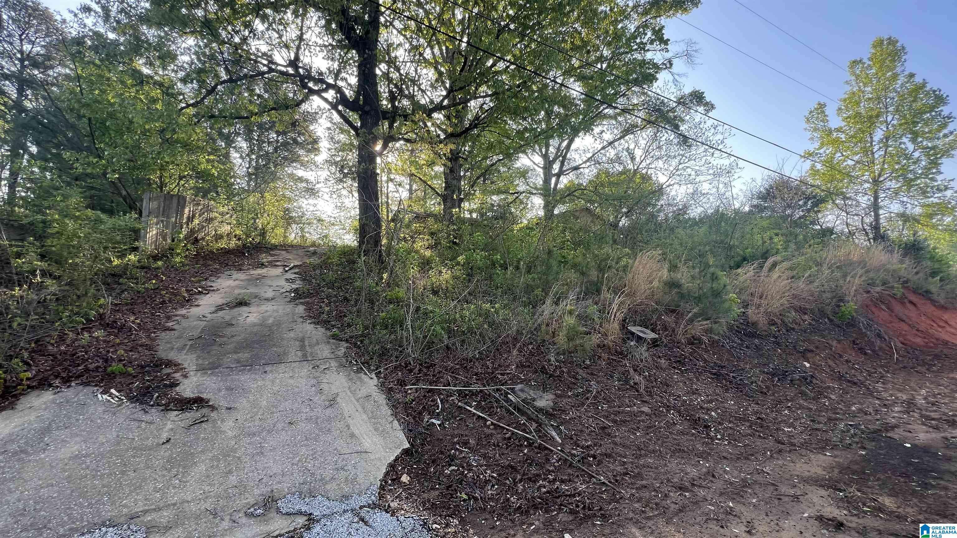 Cottondale, AL 35453,10464 BEULAH LAKE LANE