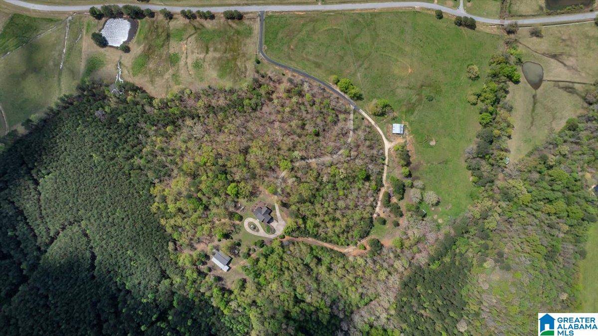 Altoona, AL 35952,515 ROBBINS BRANCH ROAD