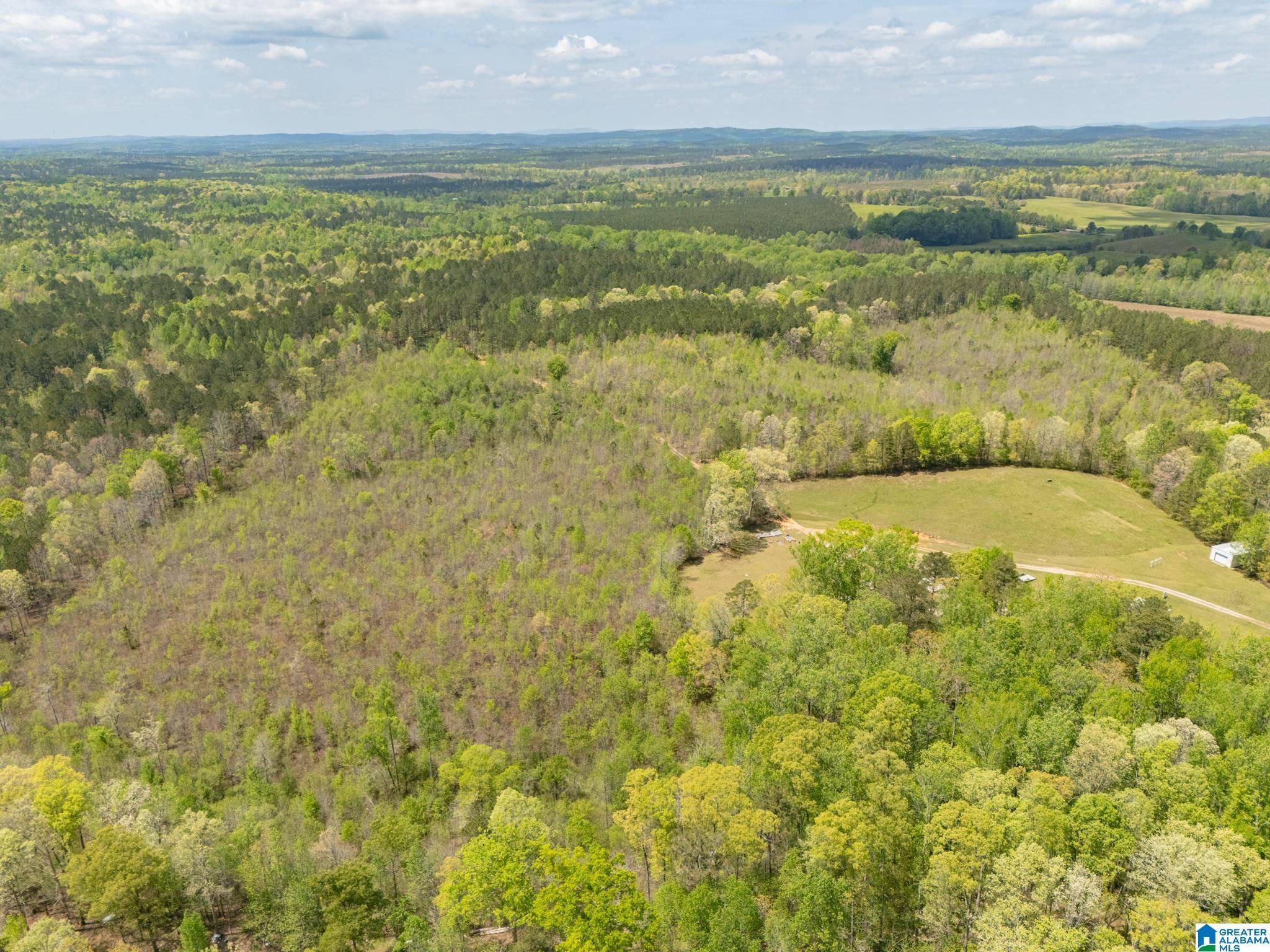 Muscadine, AL 36269,0 COUNTY ROAD 49 #1