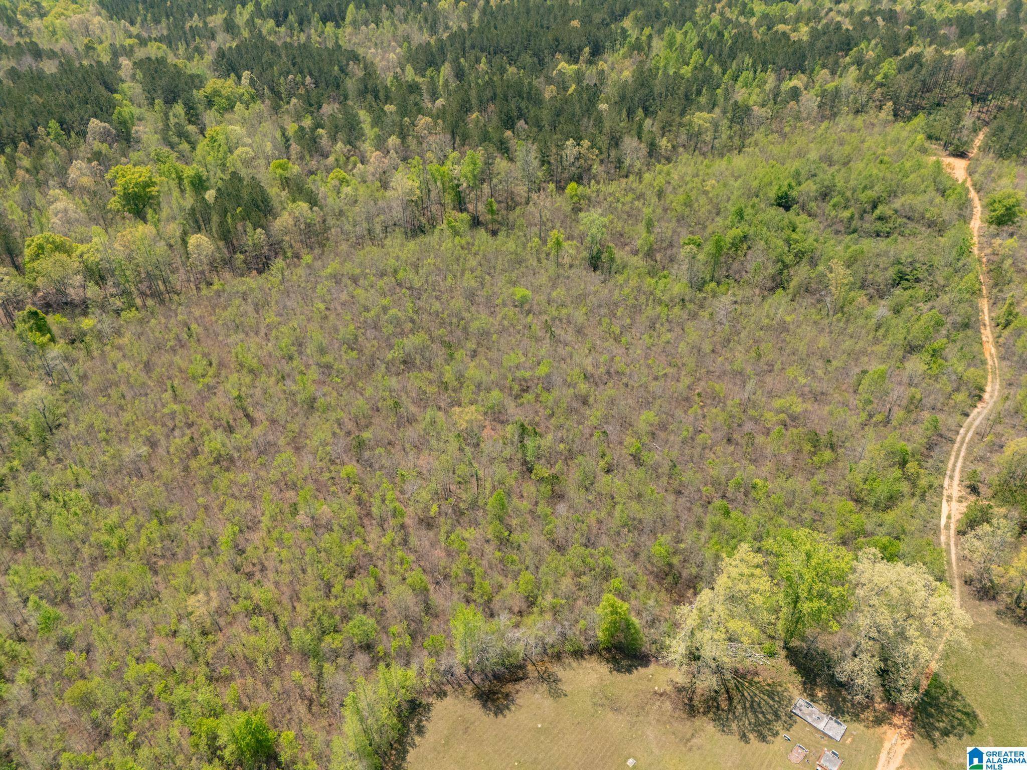 Muscadine, AL 36269,0 COUNTY ROAD 49 #1