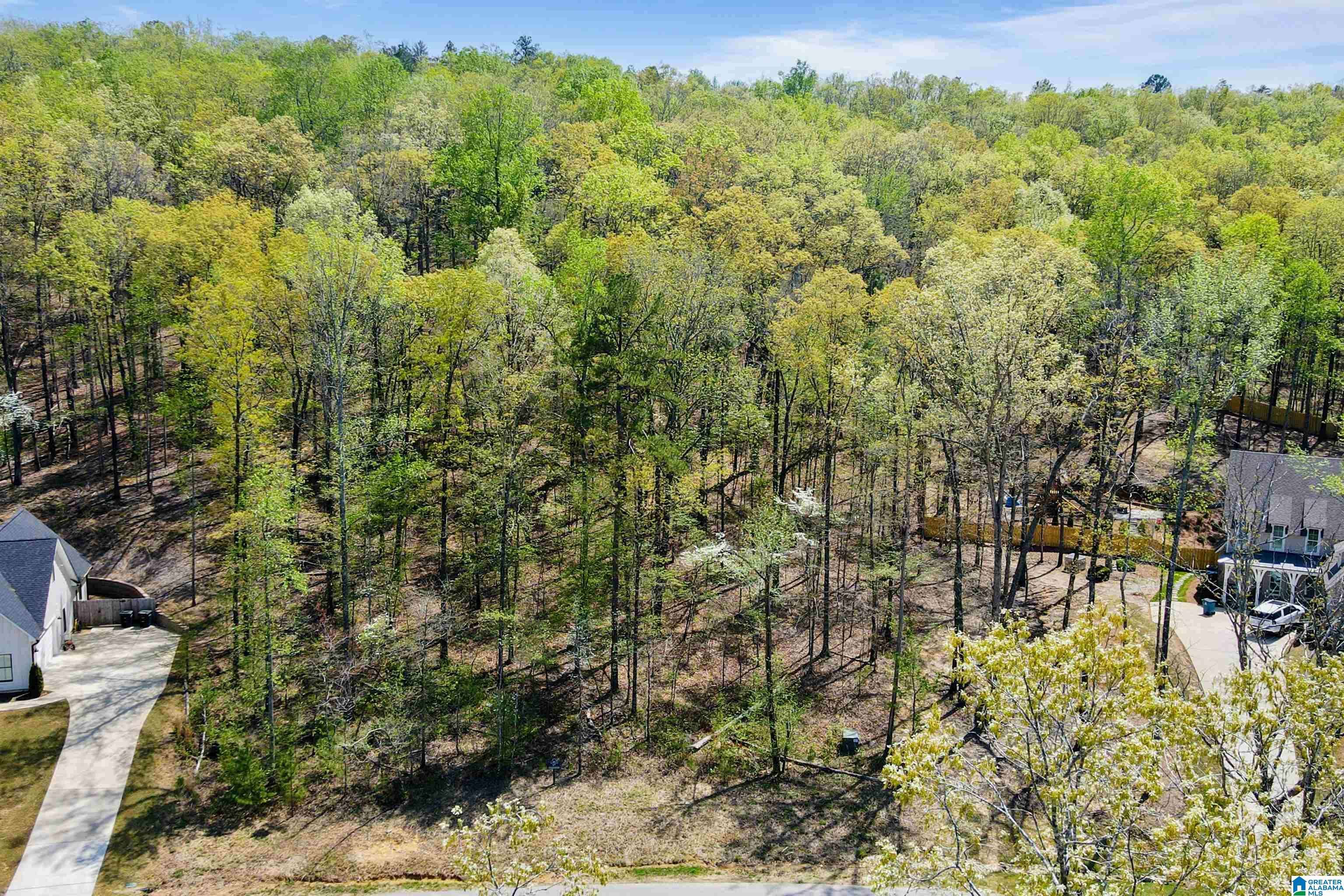 Chelsea, AL 35043,712 HICKORY HOLLOW #17