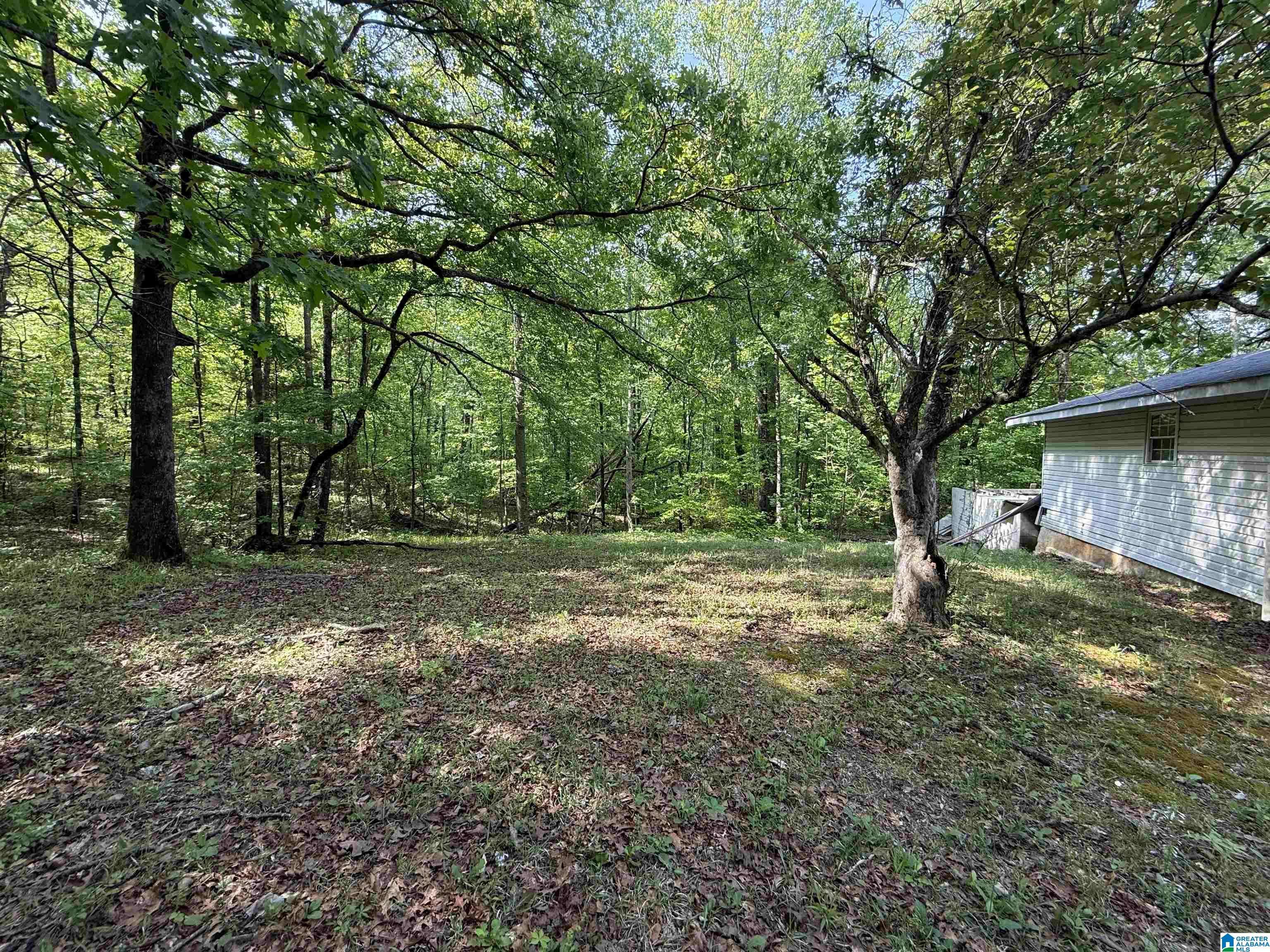 Pell City, AL 35125,9620 HIGHWAY 78
