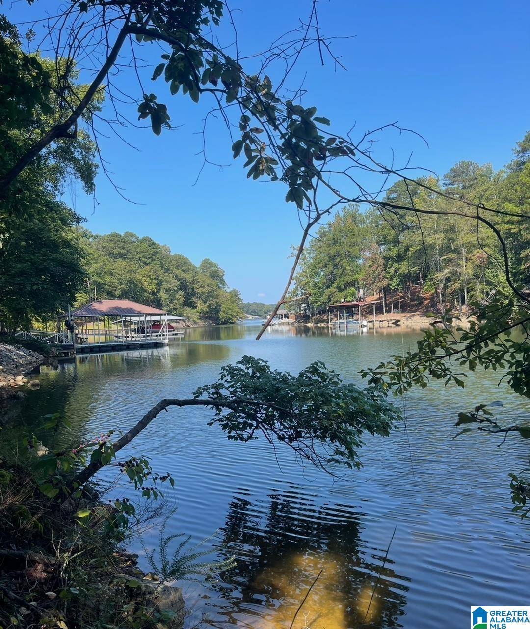 Talladega, AL 35160,Lot 1 LAKERIDGE LANE #1