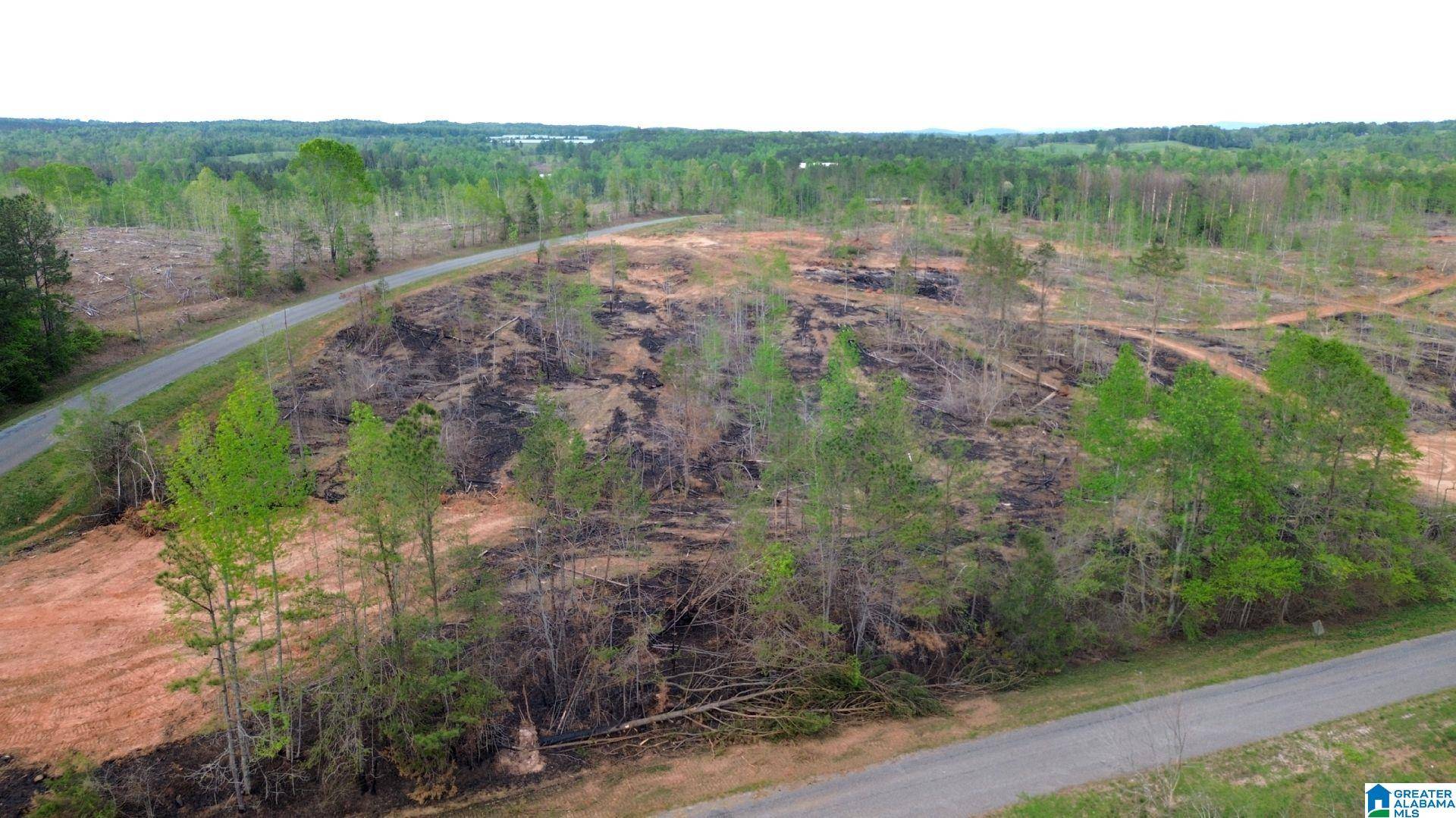 Delta, AL 36258,CENTER HILL ROAD #5.79 acres