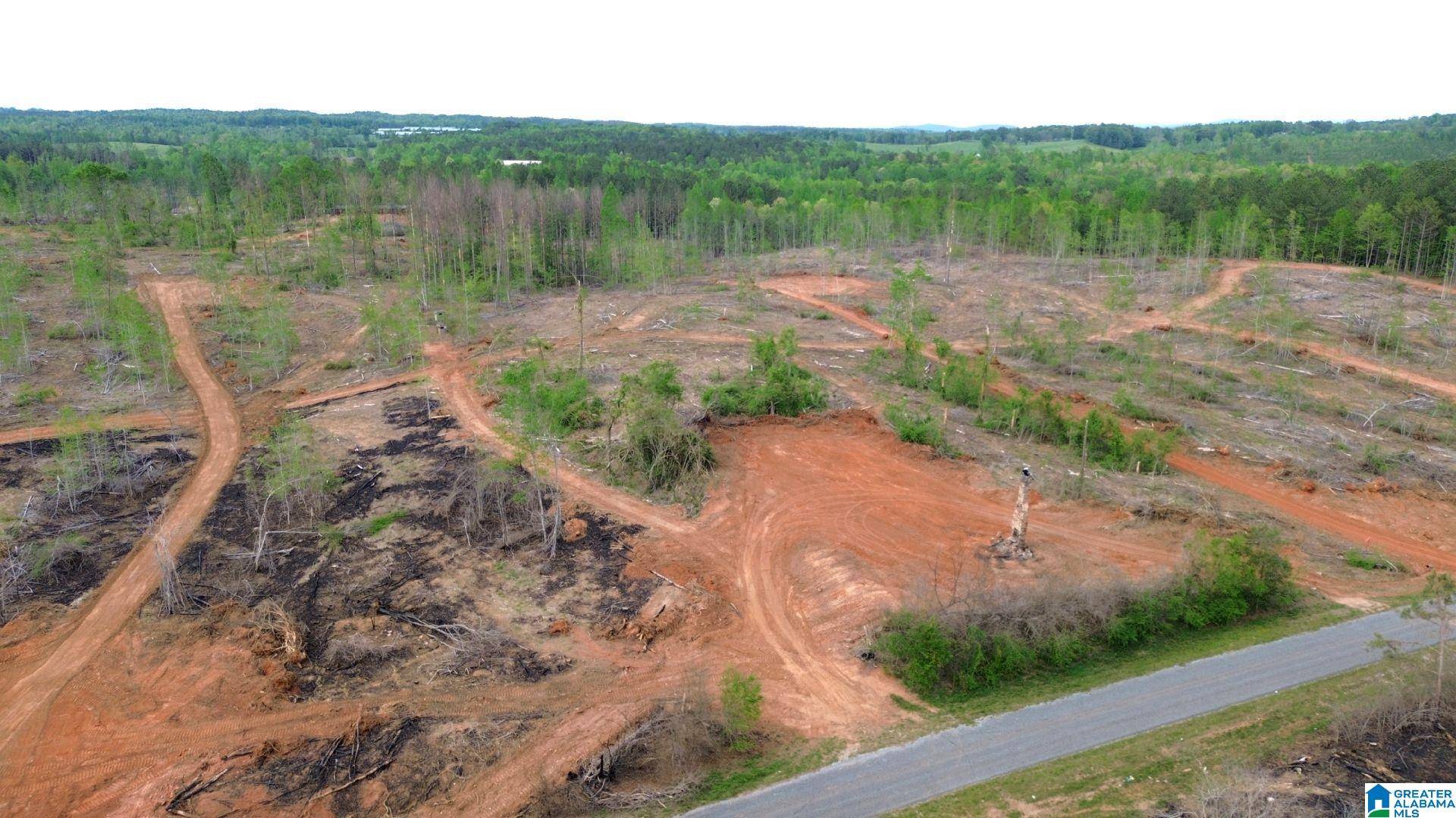 Delta, AL 36258,CENTER HILL ROAD #4.47 acres