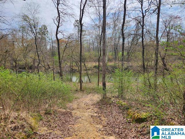 Altoona, AL 35952,164 SHERWOOD DRIVE