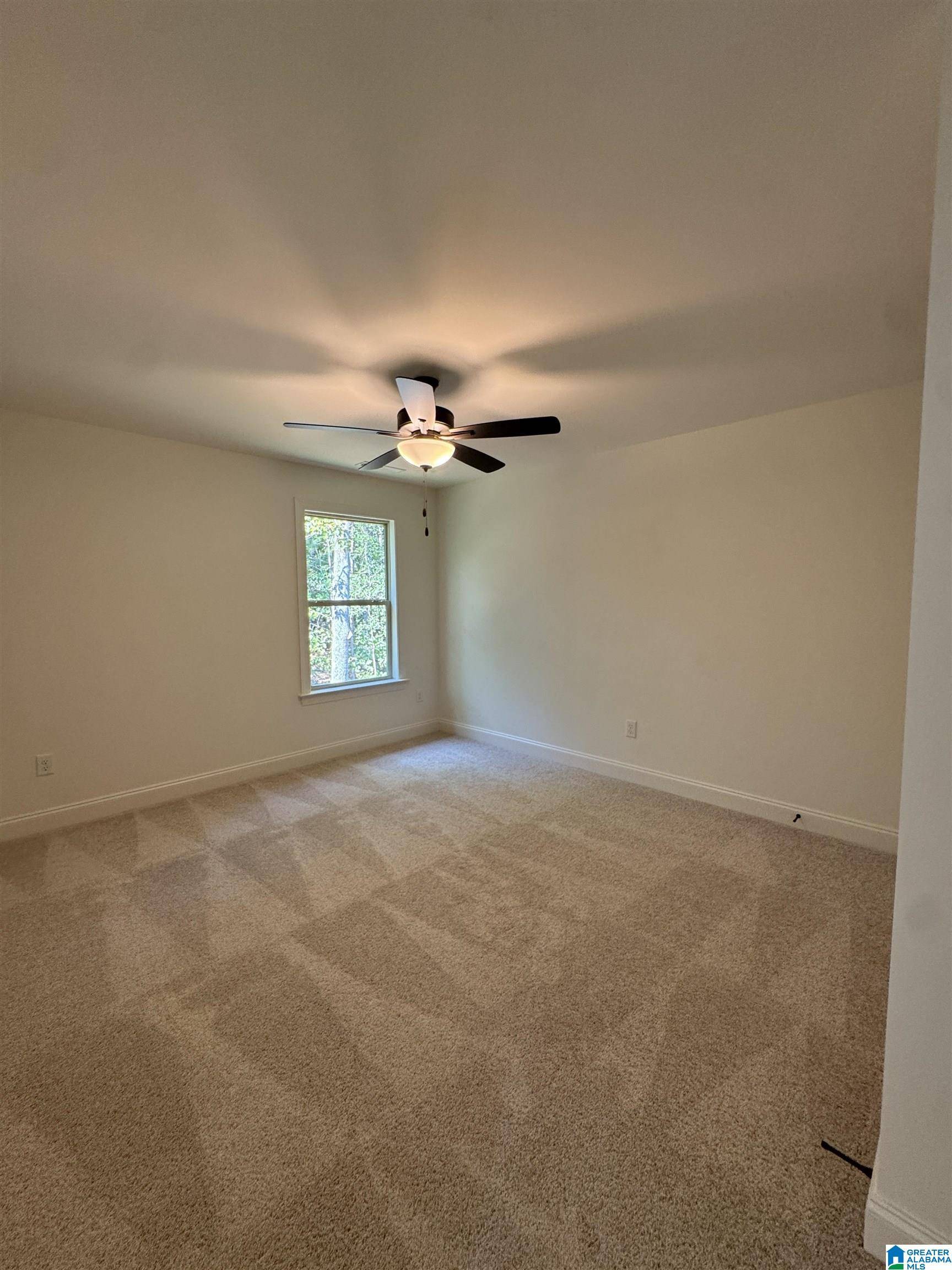 Chelsea, AL 35043,507 BARON CIRCLE