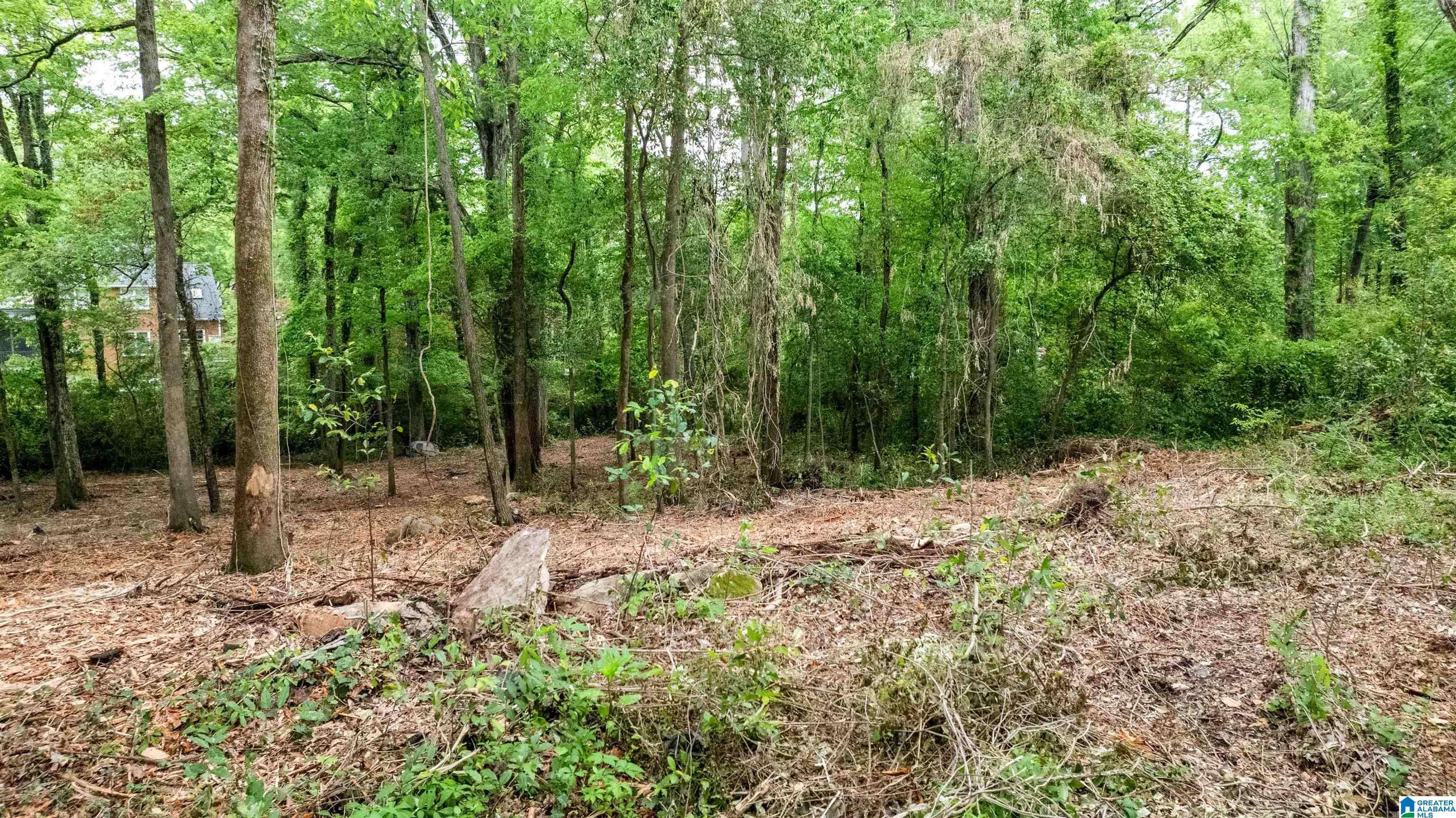 Mountain Brook, AL 35213,3613 MONTCLAIR ROAD #000