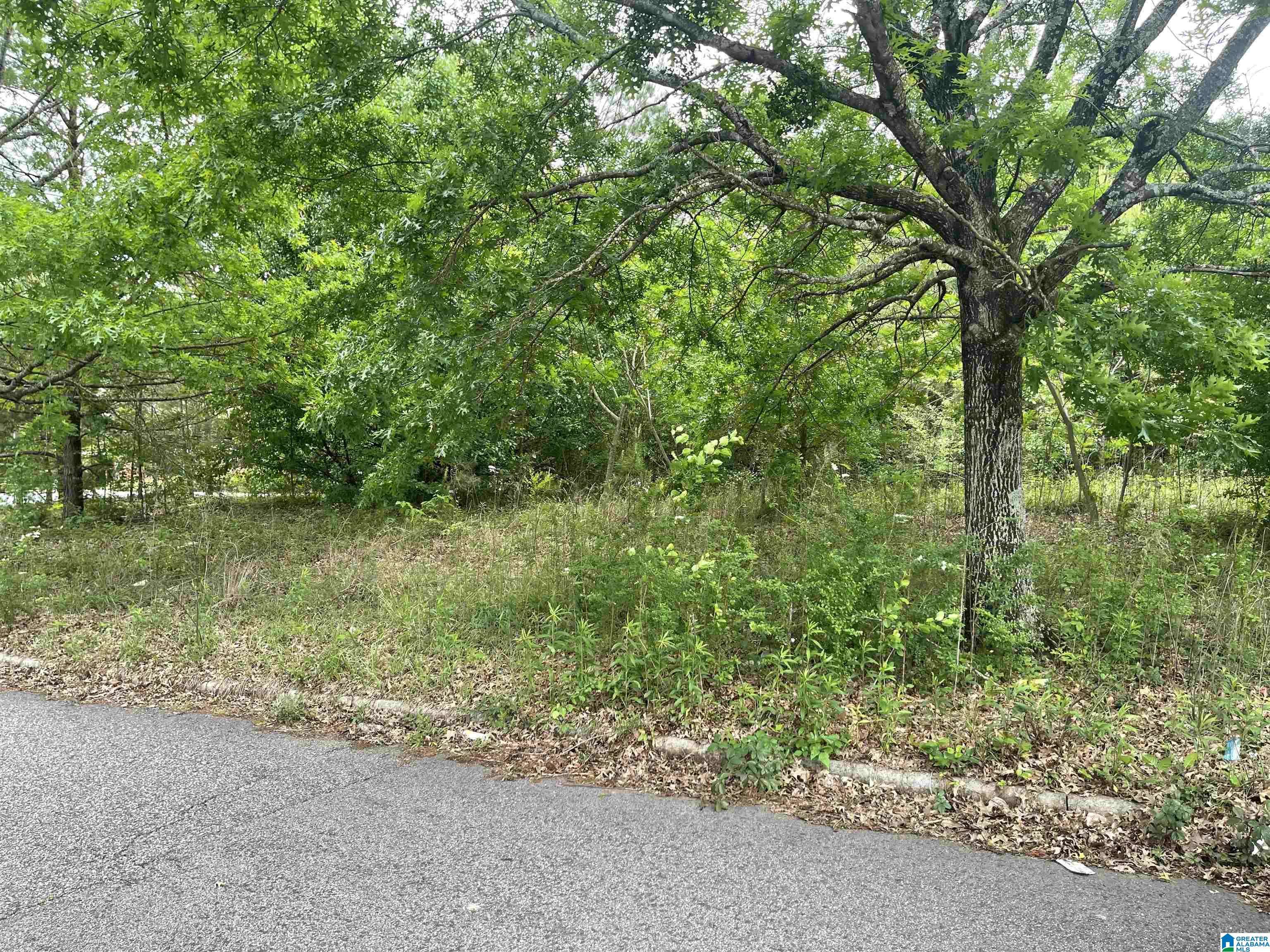Birmingham, AL 35211,150 LONDON PARKWAY #2E-3