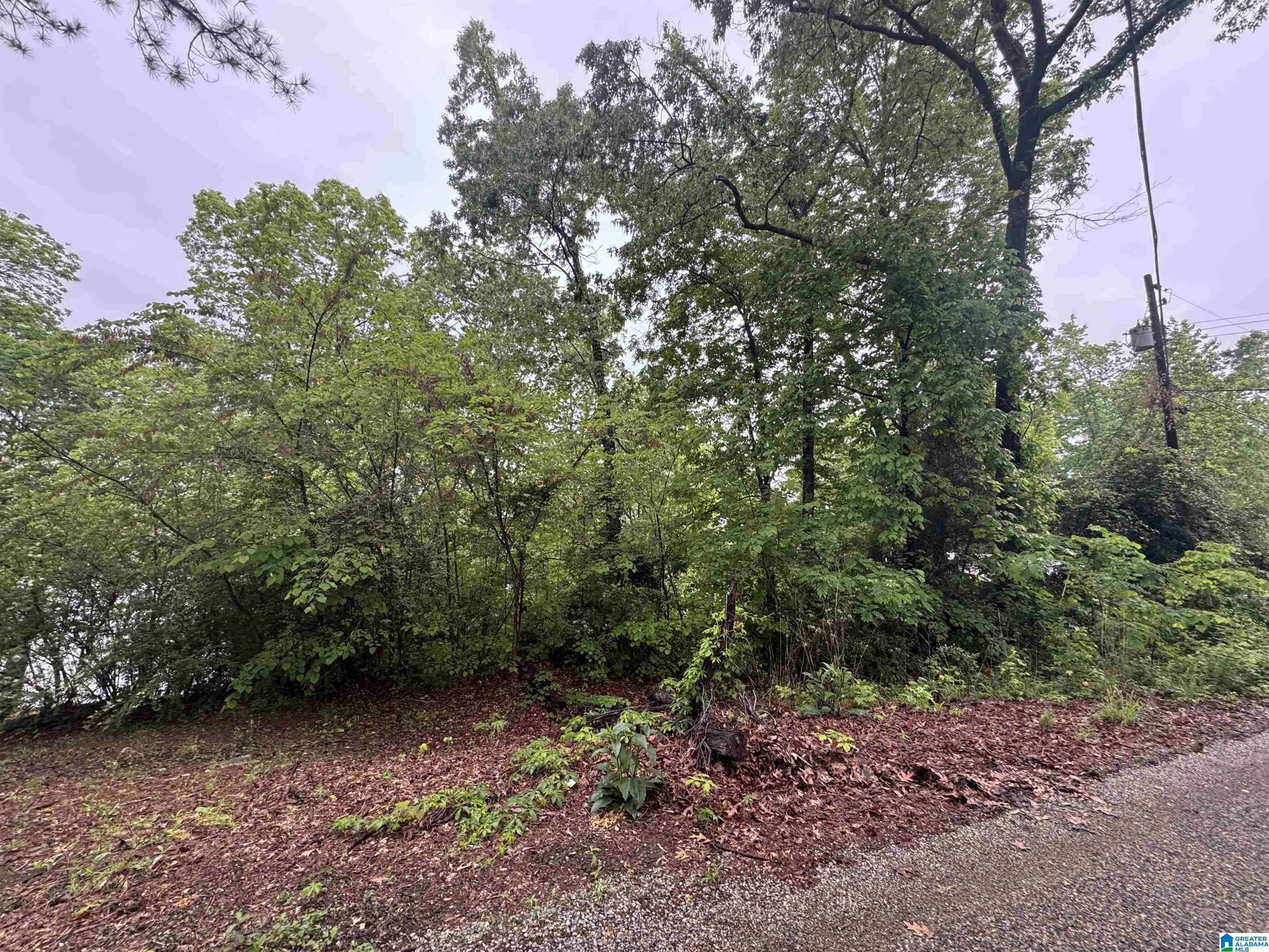 Talladega, AL 35160,0 RIVER TERRACE DRIVE #16