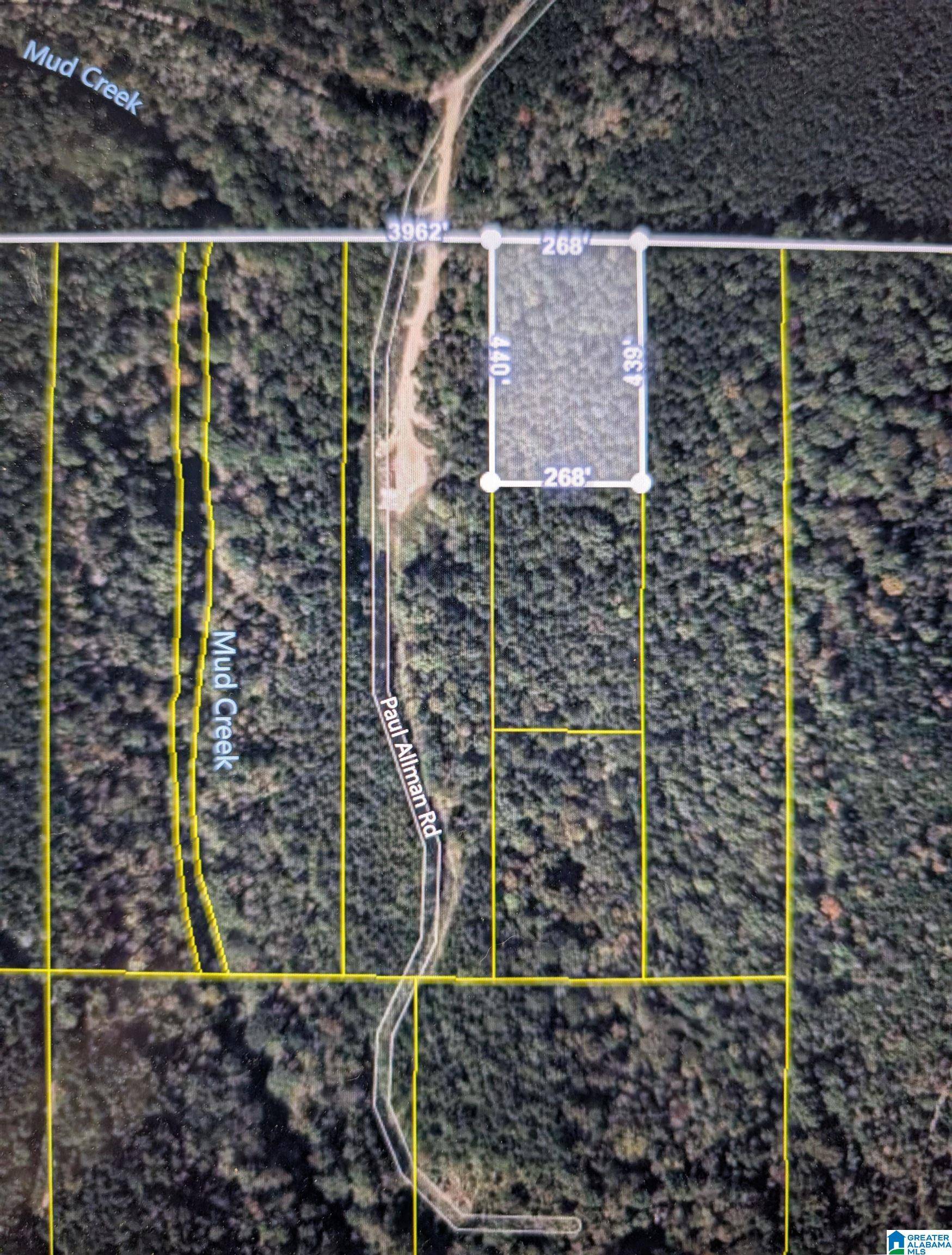 Adger, AL 35006,944 PAUL ALLMAN ROAD #0