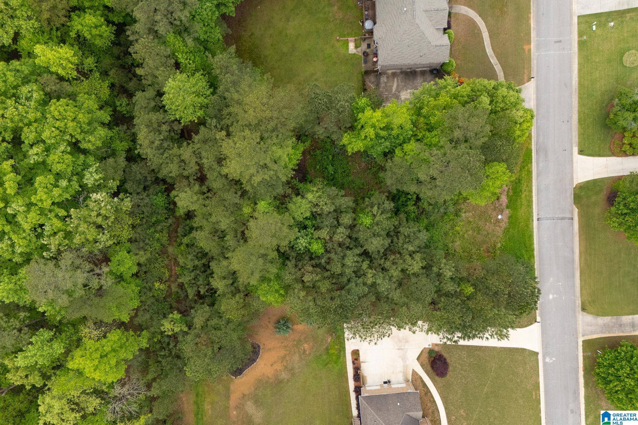 Chelsea, AL 35043,240 WOODBRIDGE TRAIL #79