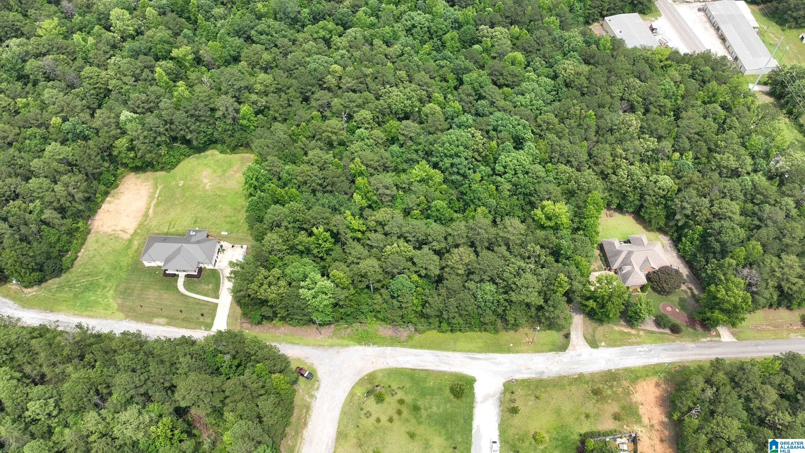 West Blocton, AL 35184,PINE FOREST LANE #2