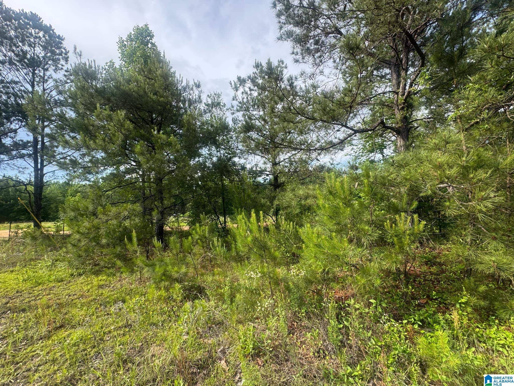 Maplesville, AL 36750,0 COUNTY ROAD 349 #0