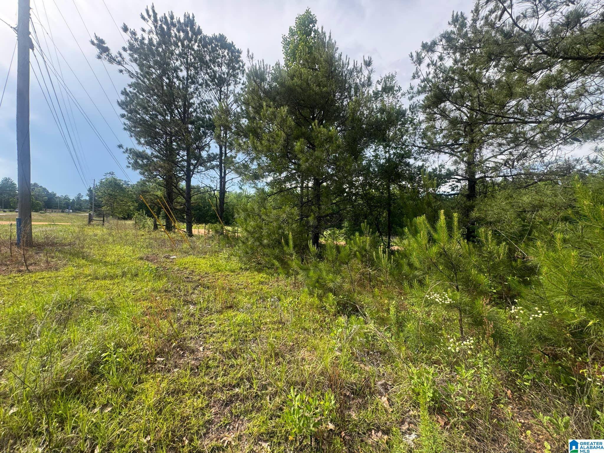 Maplesville, AL 36750,0 COUNTY ROAD 349 #0