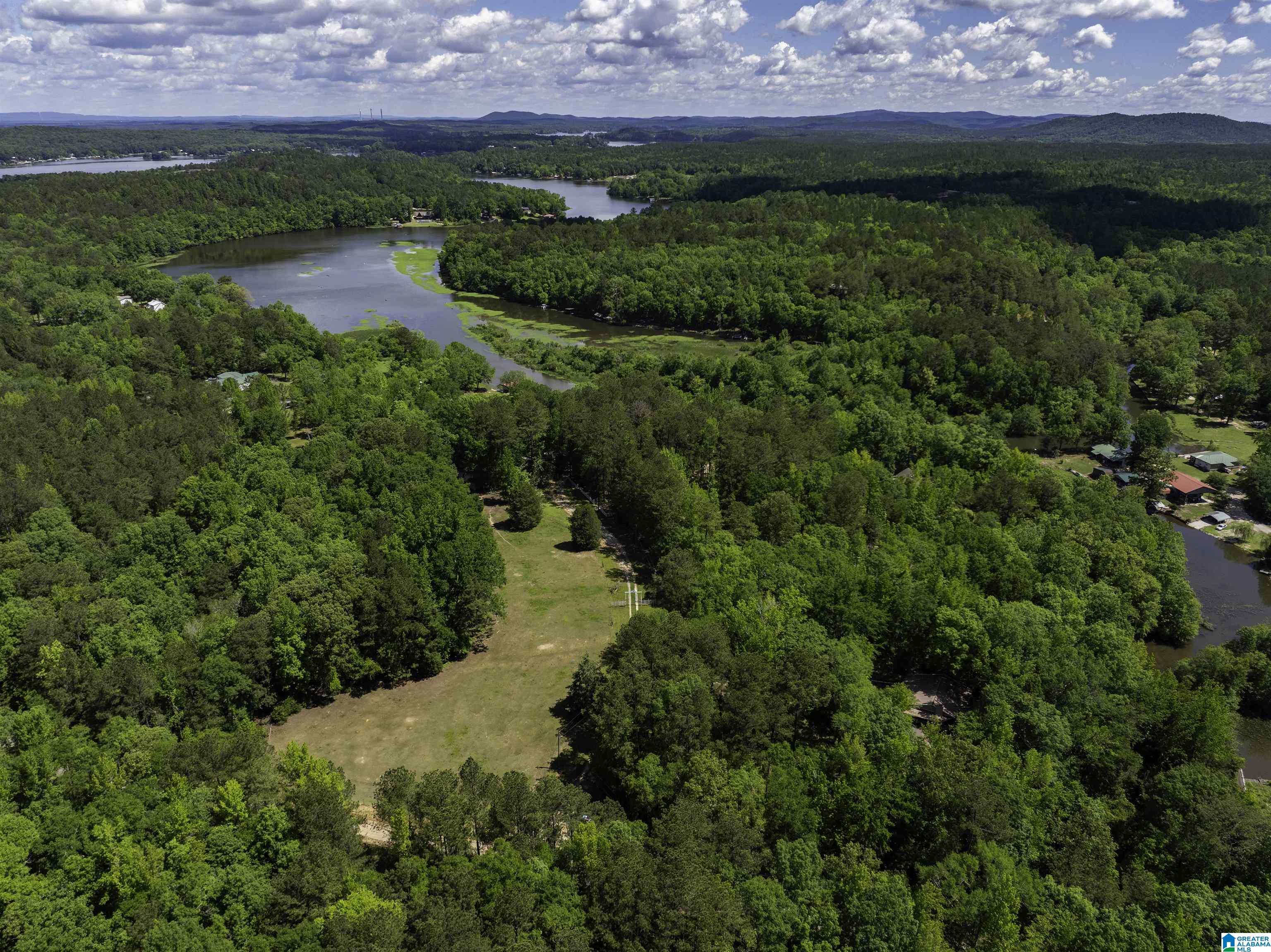 Sylacauga, AL 35151,180 SKYWATER LANE